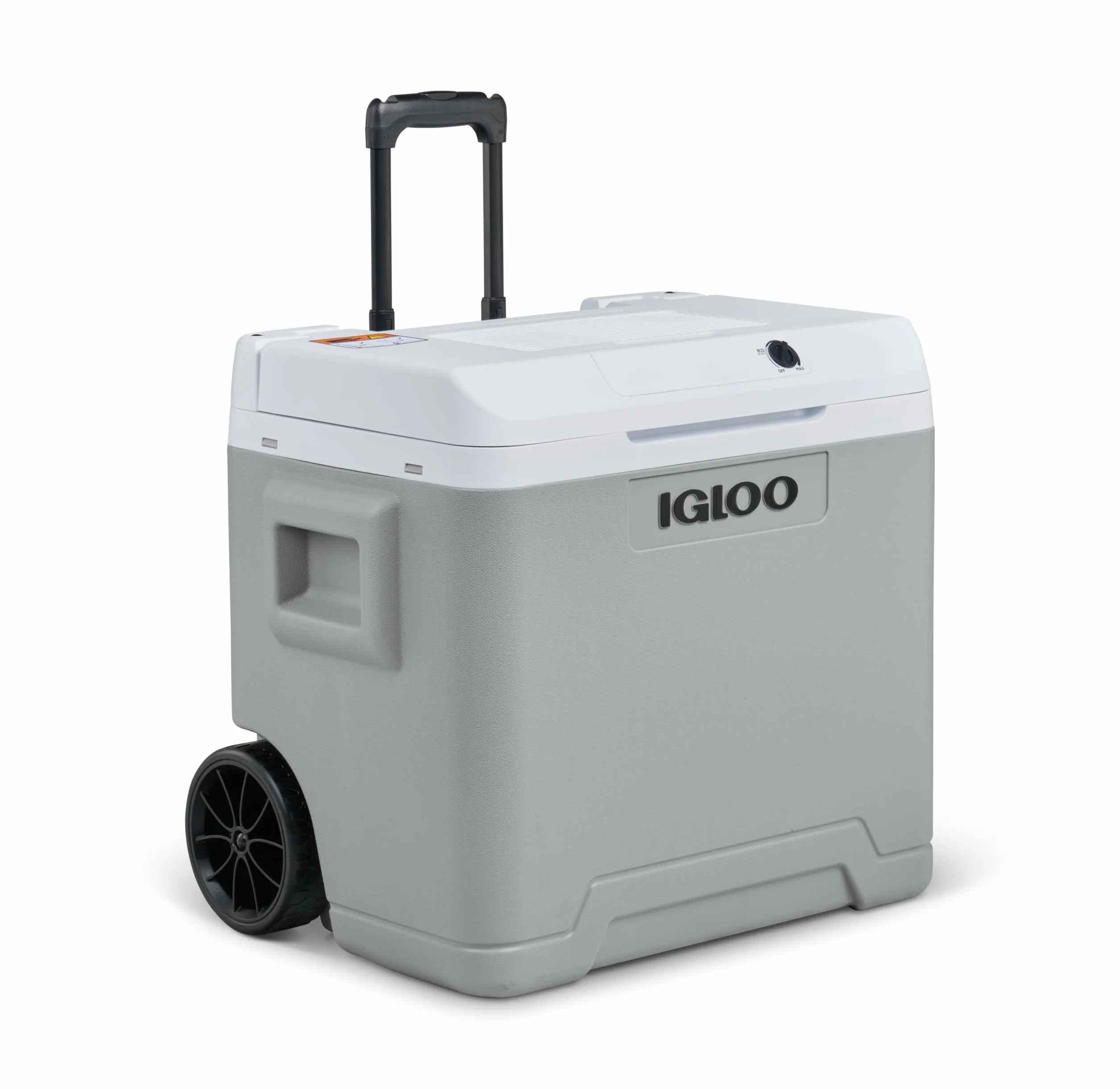 IGLOO IE42 Frigo Elettrico 12V 230V 42L Mini Frigorifero Compatto per Auto Campeggio