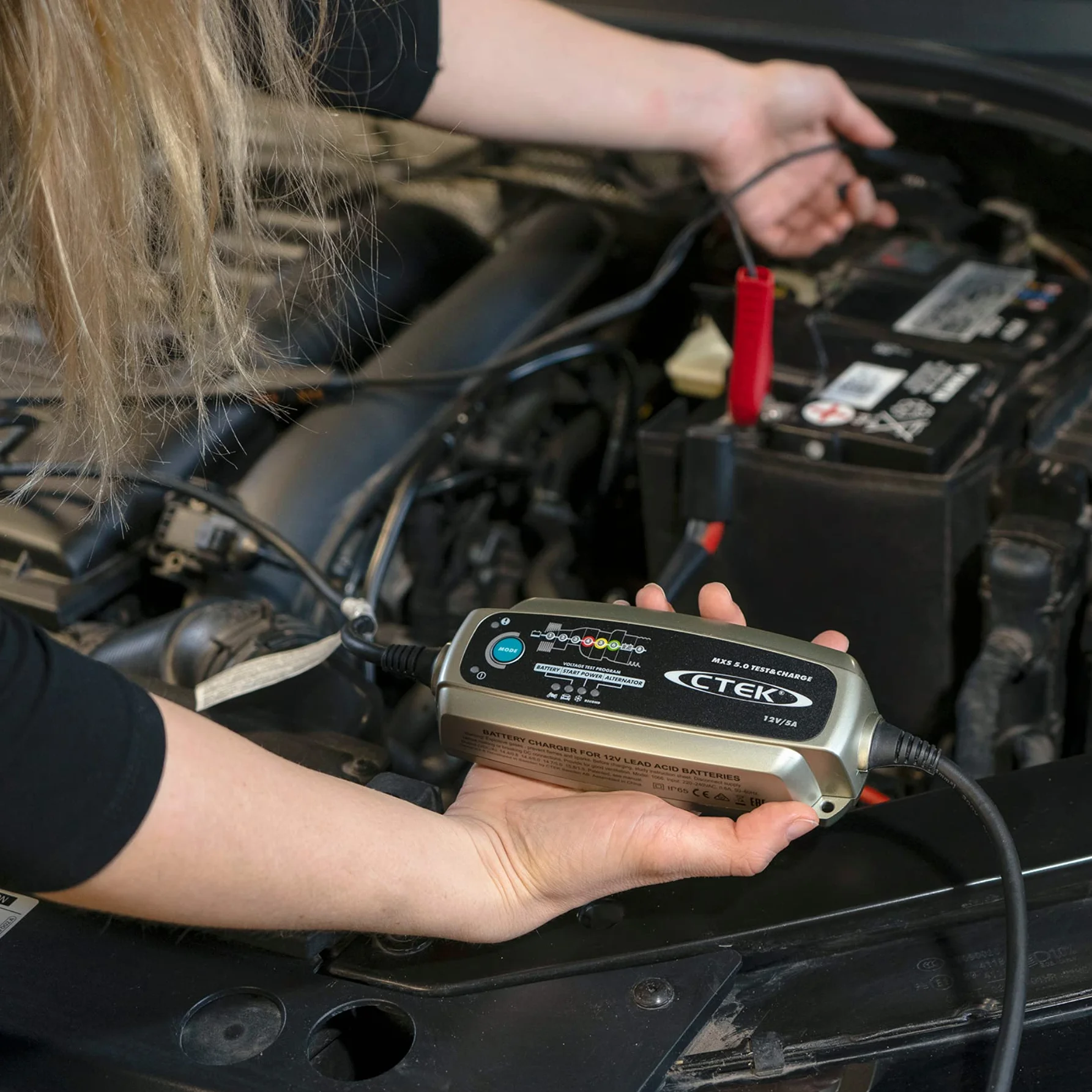CTEK MXS 5.0 TEST & CHARGE Caricabatterie 12V 5A, Mantenitore Di Carica Per Batteria Auto, Caricabatterie Auto E Camion, Tester Dell'Alternatore Con Modalità Di Ricondizionamento