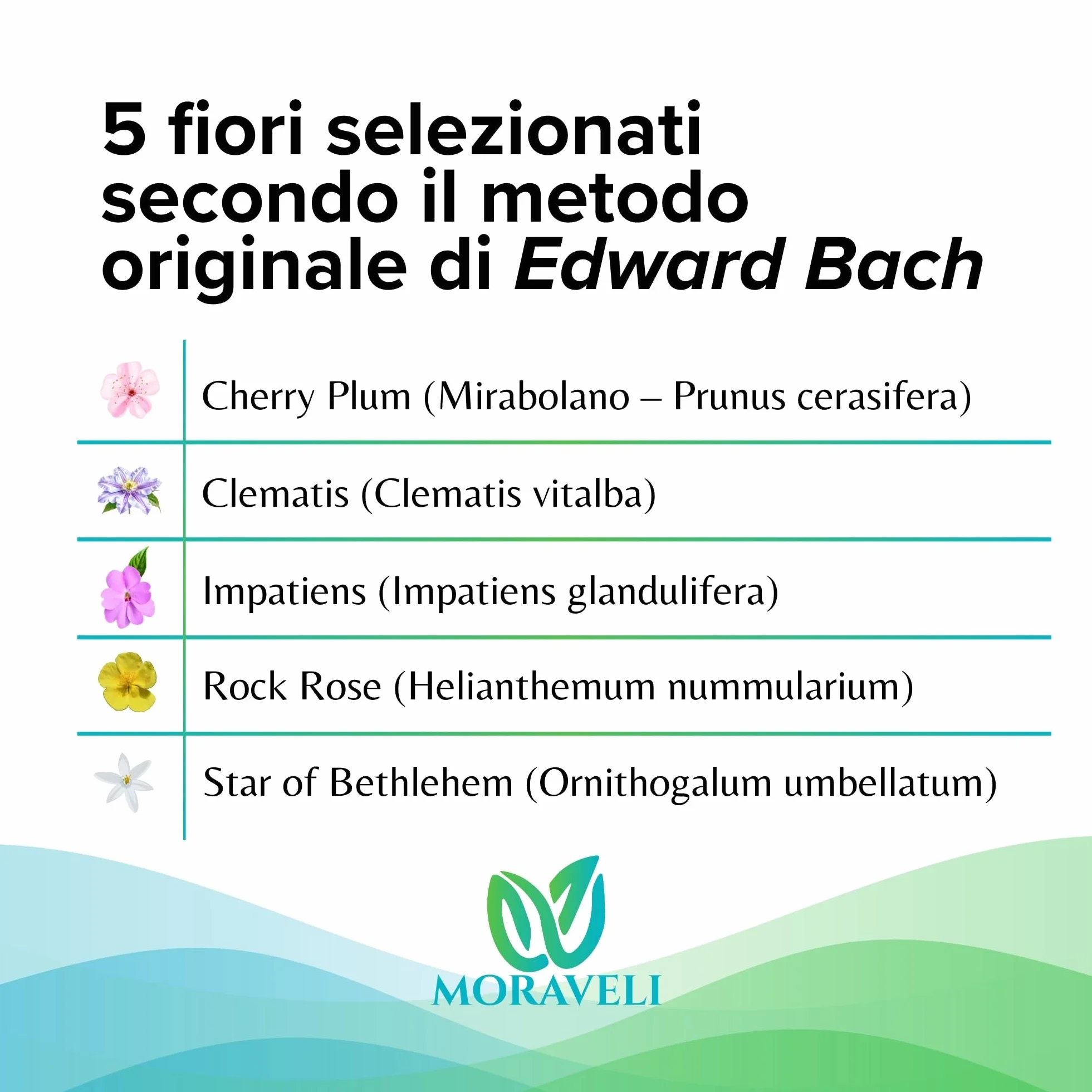 Fiori di Bach Rescue Remedy n.39 Gocce 50ml Senza Alcool - Miscela Floreale Originale