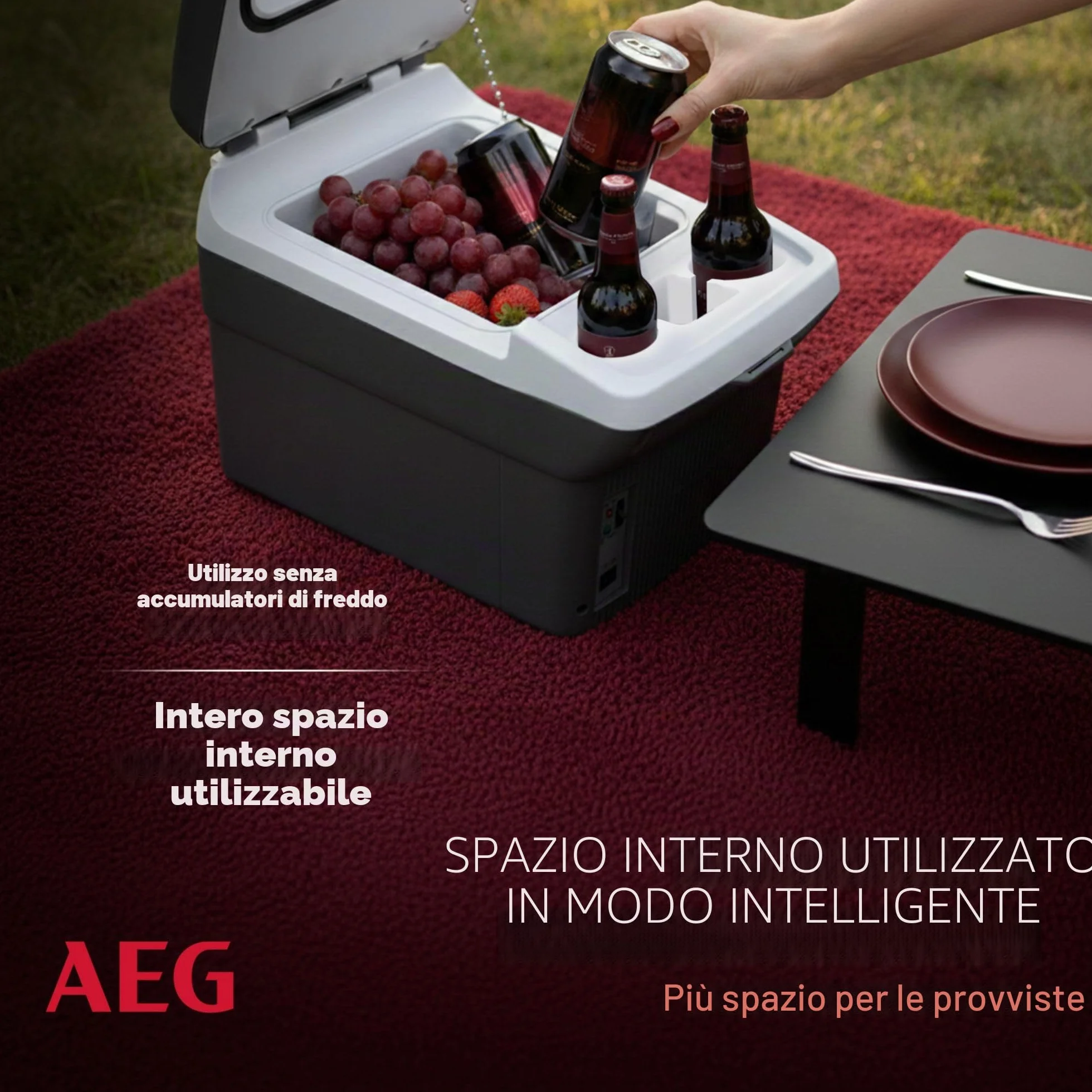 AEG Automotive Board-Bar BK 16 Contenitore termoelettrico refrigerante e scaldino 16 litri, 12 Volt per auto e presa elettrica, può essere fissato all'auto