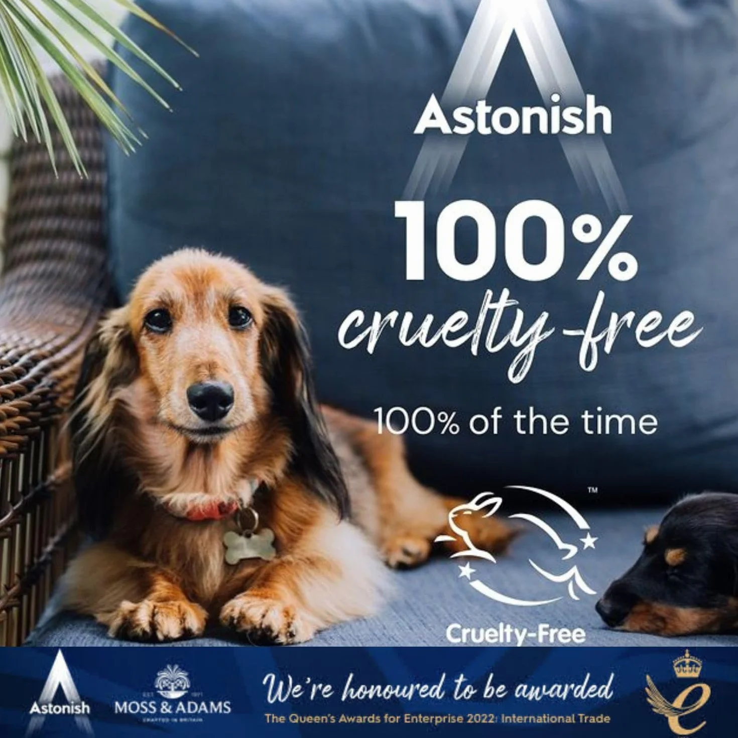 Astonish Spray detergente per il bagno 750 ml