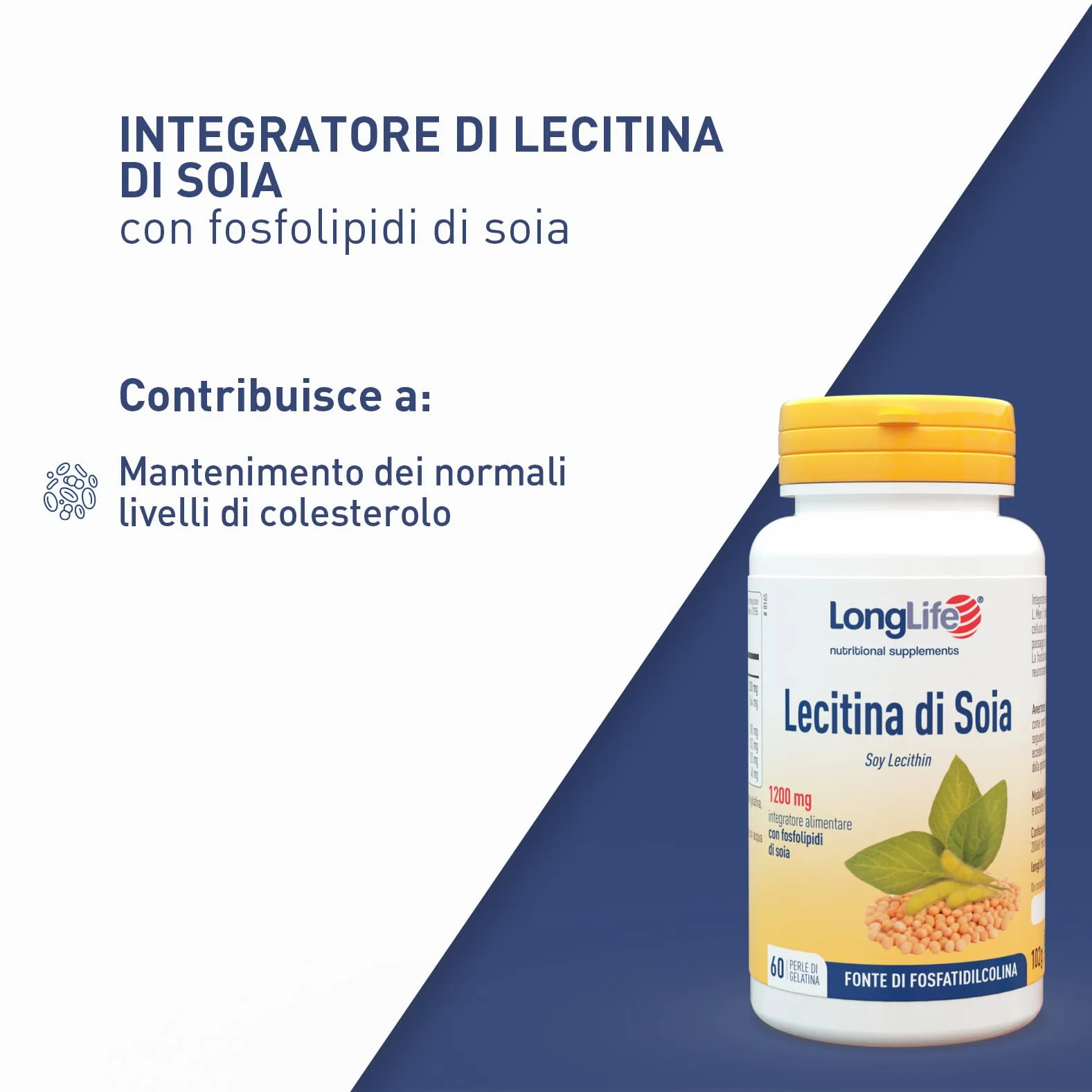 LongLife Lecitina Di Soia Fosfolipidi NON OGM Fonte vegetale fosfatidilcolina Metabolismo lipidi 2 mesi Senza glutine