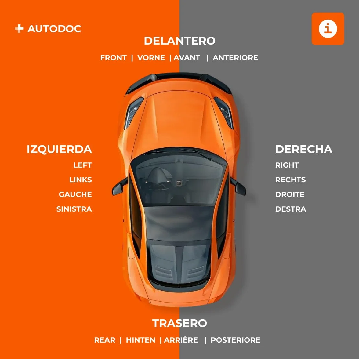 RIDEX 1561W0097 Alzacristallo elettrico anteriore Sinistra con motore elettrico Compatibilità con FIAT GRANDE PUNTO 199
