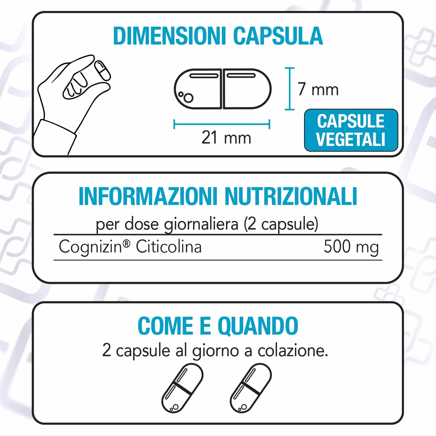 PiùLife Citicolina Cognizin 500 mg Integratore Memoria Concentrazione CDP Colina 2 Capsule