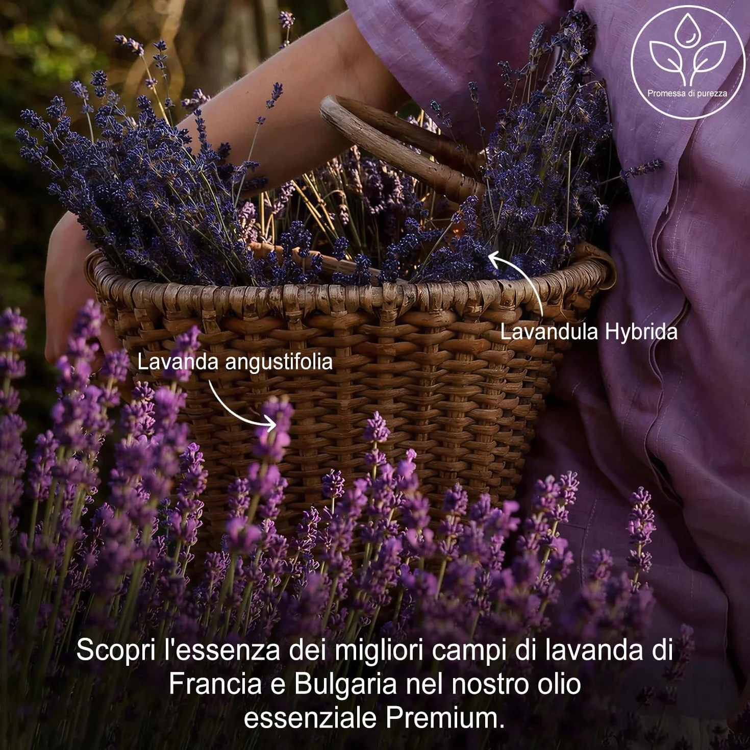 Olio da massaggio aromaterapico alla lavanda 120ml per coppie