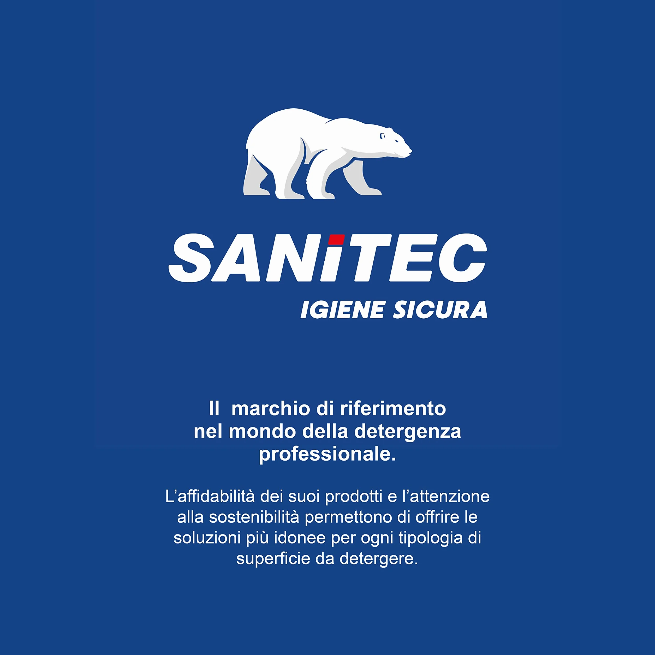 Sanitec Detergente Disincrostante Acido Fosforico Acido Citrico 750 ml