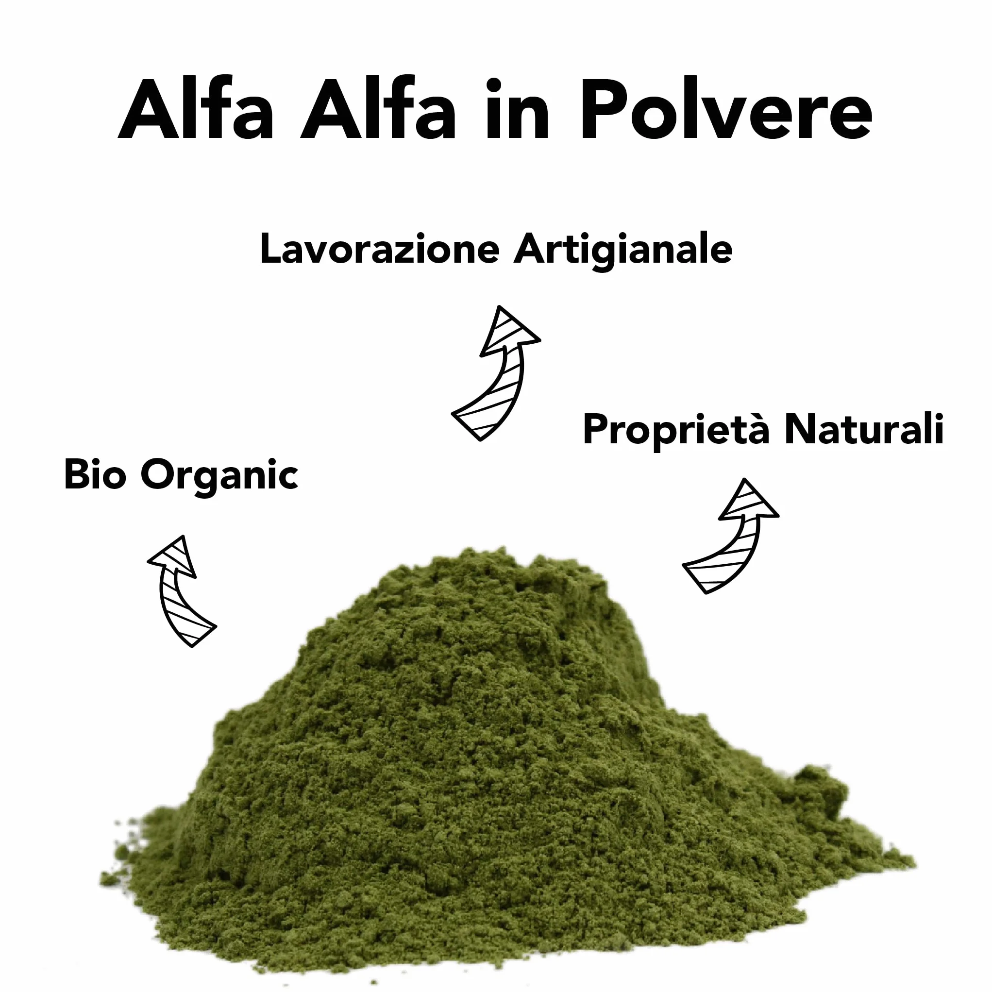 Alfa Alfa in Polvere Biologica e Cruda 150g Ricca di Vitamine A C E K Antiossidanti Isoflavonoidi Minerali Clorofilla per Frullati Succhi Yogurt