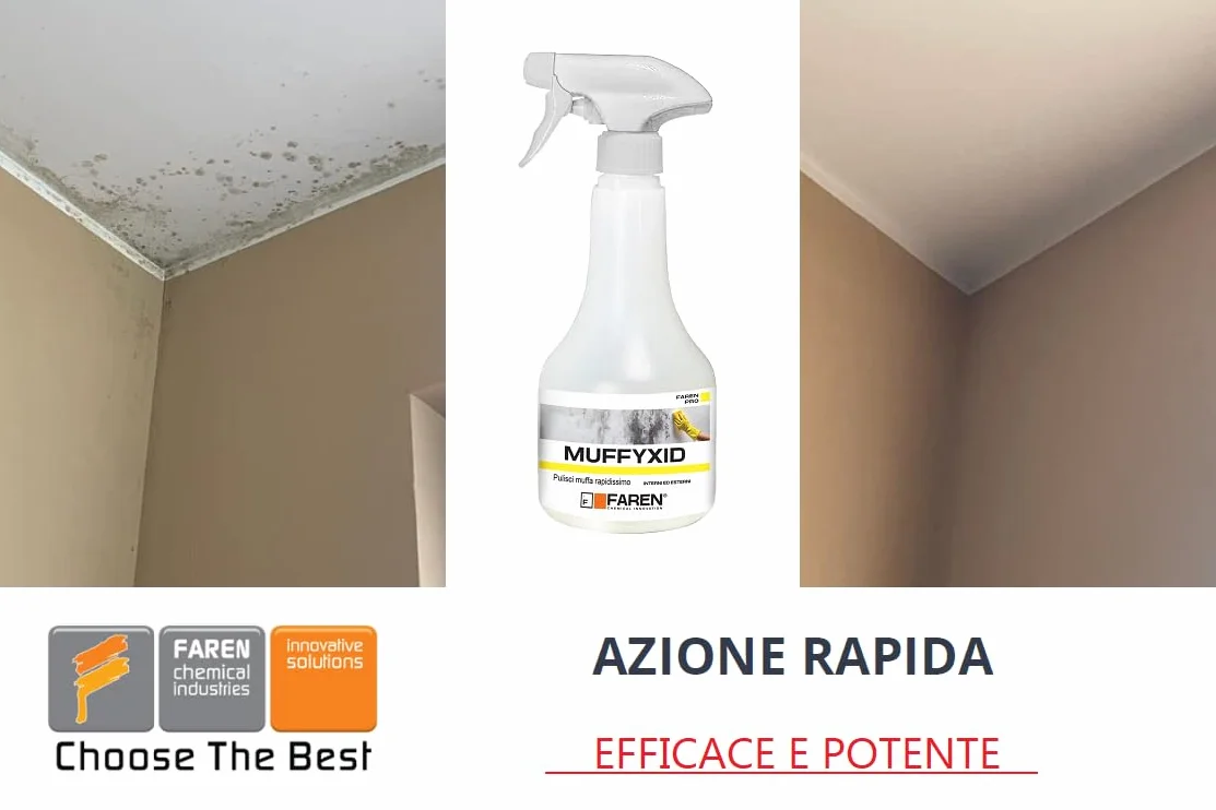 Faren Rimuovi Muffa Antimuffa Pulitore Muffa Azione Rapida Igienizzante 500ml (2)