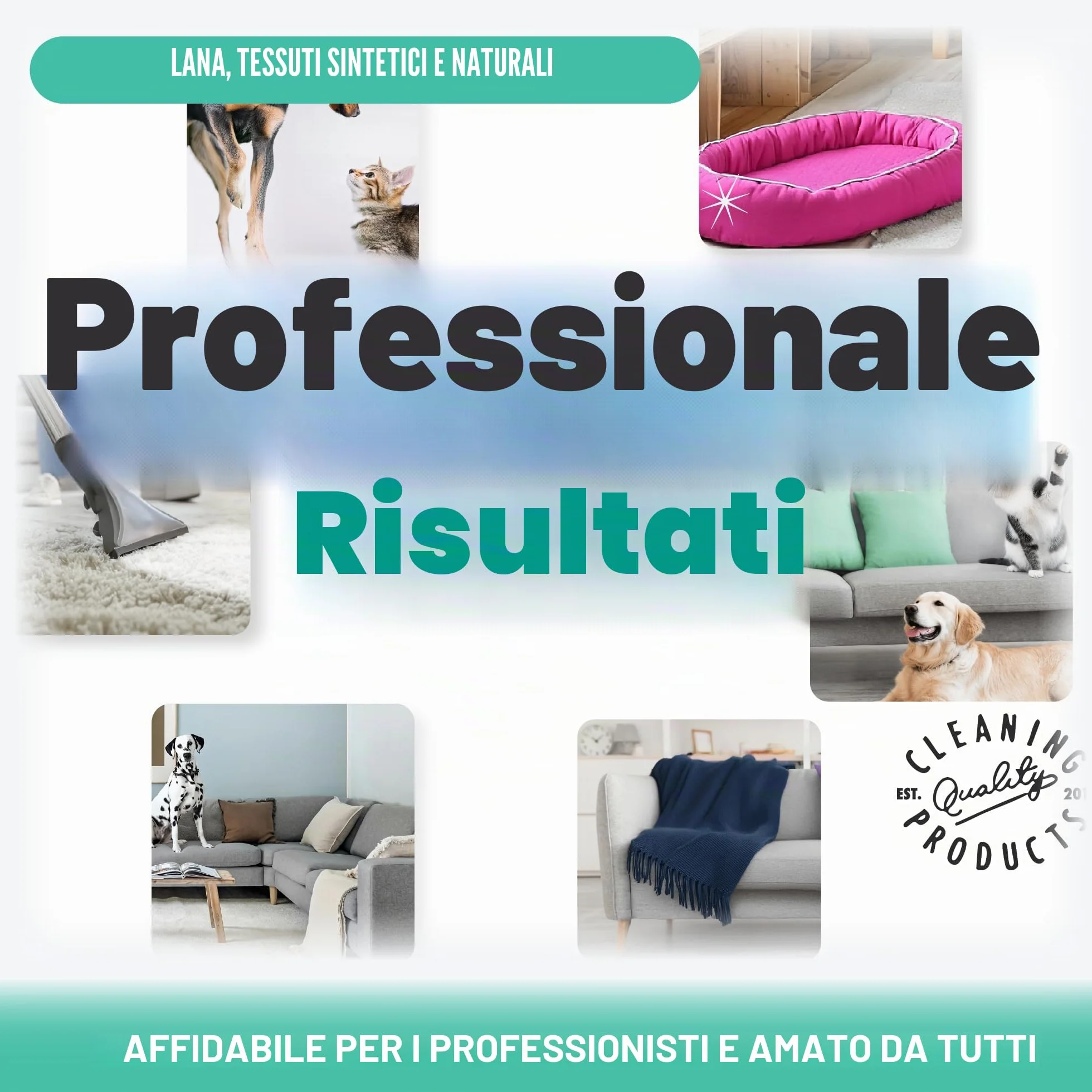 Dirtbusters Pulizia e protezione concentrato 4 in 1 5 litri shampoo professionale per moquette e tappezzeria detergente agli agrumi con neutralizzatore di odori