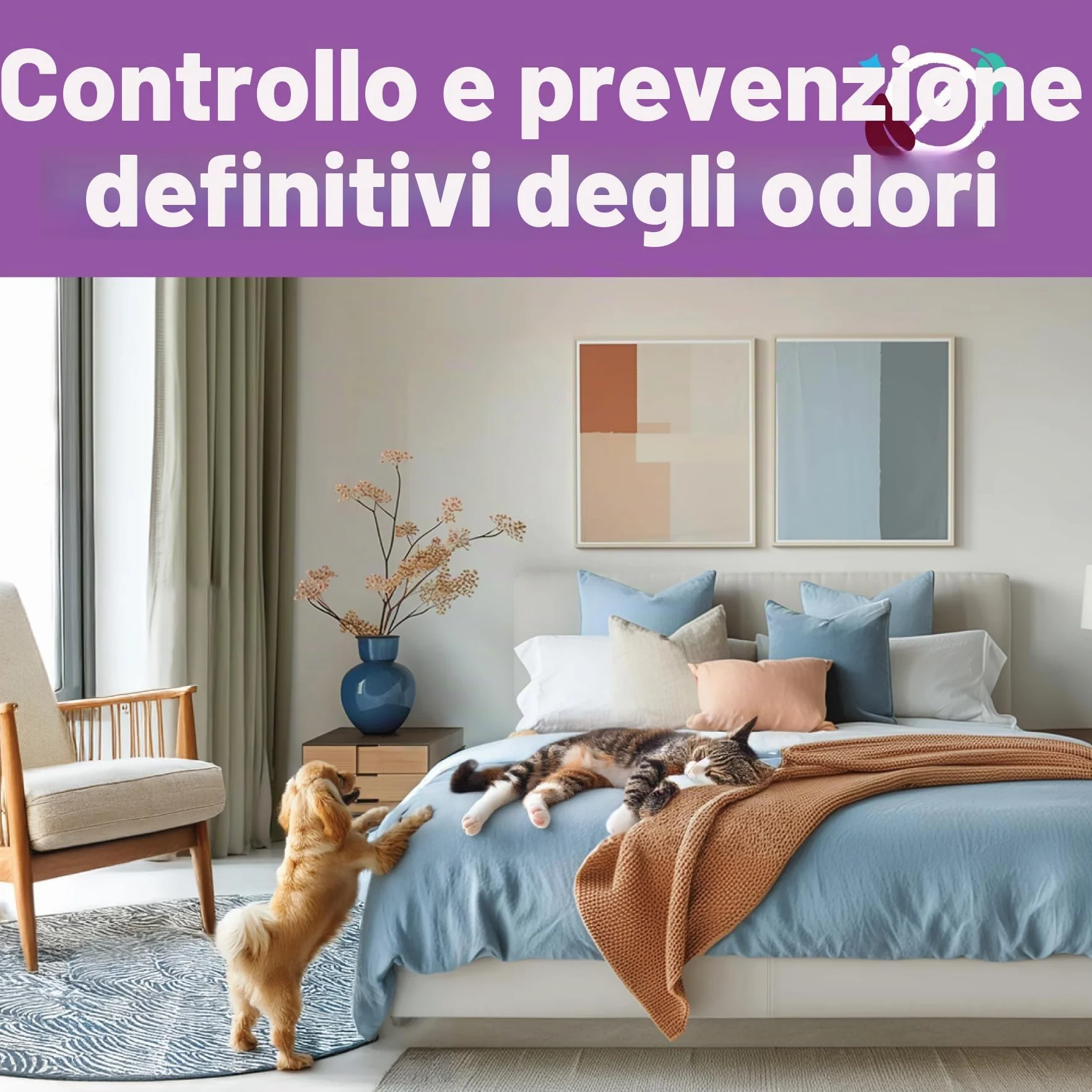 Dirtbusters Clean & Deodorise, prodotto per la pulizia di tappeti e tappezzeria, 3-in-1 concentrato
