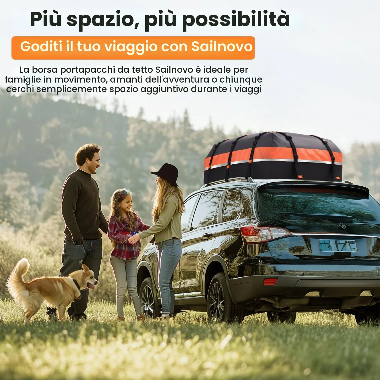 Sailnovo Box Tetto Auto Impermeabile 595L 1000D PVC, Portabagagli Auto Tetto con Tappetino Antiscivolo, 6 Ganci Portiere, Serratura Combinazione - Compatibile con/senza Barre Portatutto