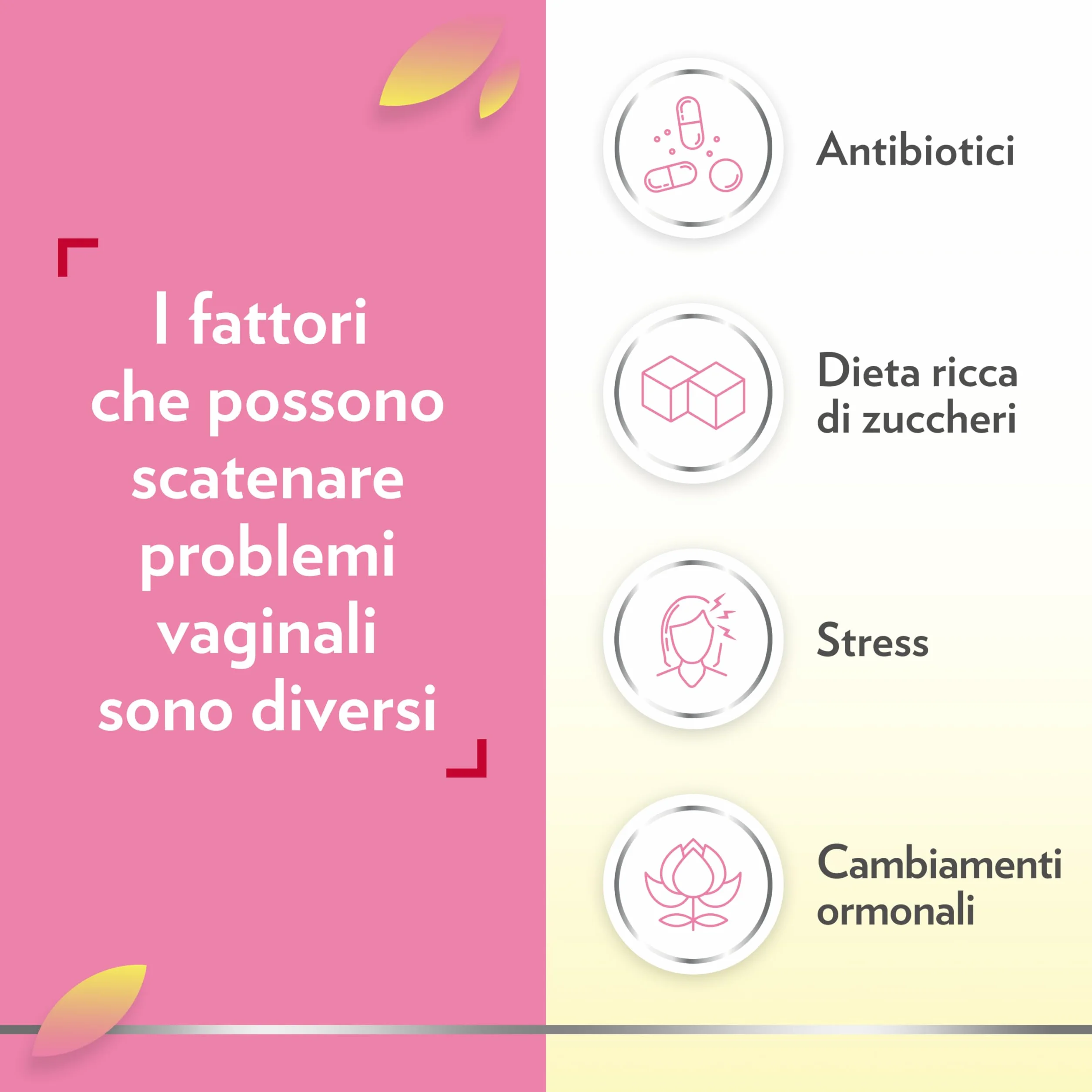 Gyno-Canesflora Benessere Intimo Integratore Orale Donna Lactobacilli Vitamina B2 Probiotici Flora Intima Vaginale 30 Capsule