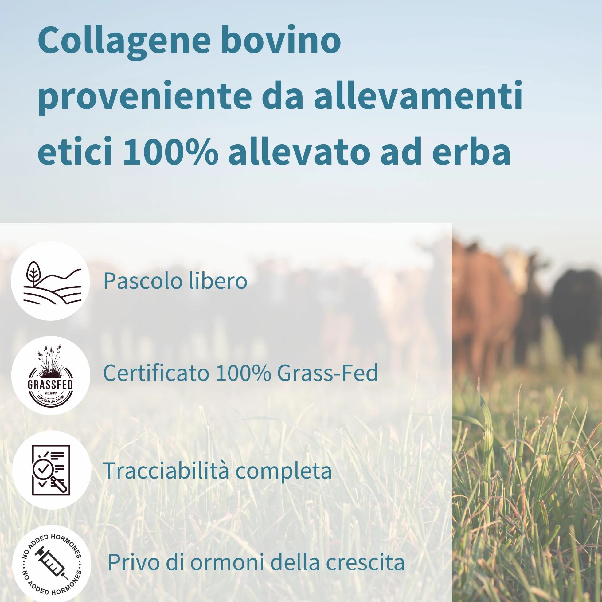 Igennus Collagene Idrolizzato Bovini Allevati ad Erba 400gr Polvere Non Aromatizzato Non-OGM 40 porzioni
