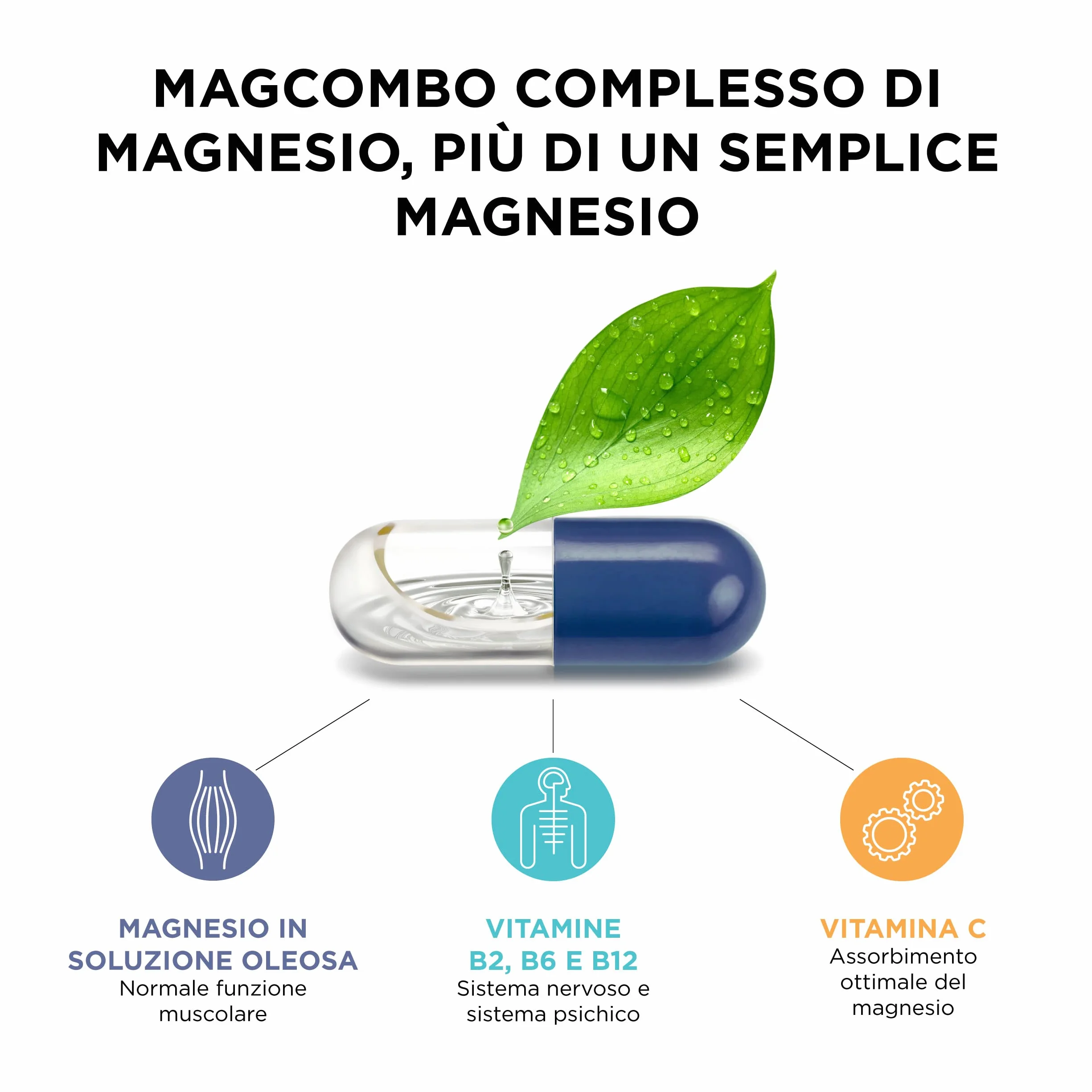 MagCombo Puro Magnesio Concentrato in Soluzione Oleosa con Vitamine B2 B6 B12 C 1 Capsula al Giorno