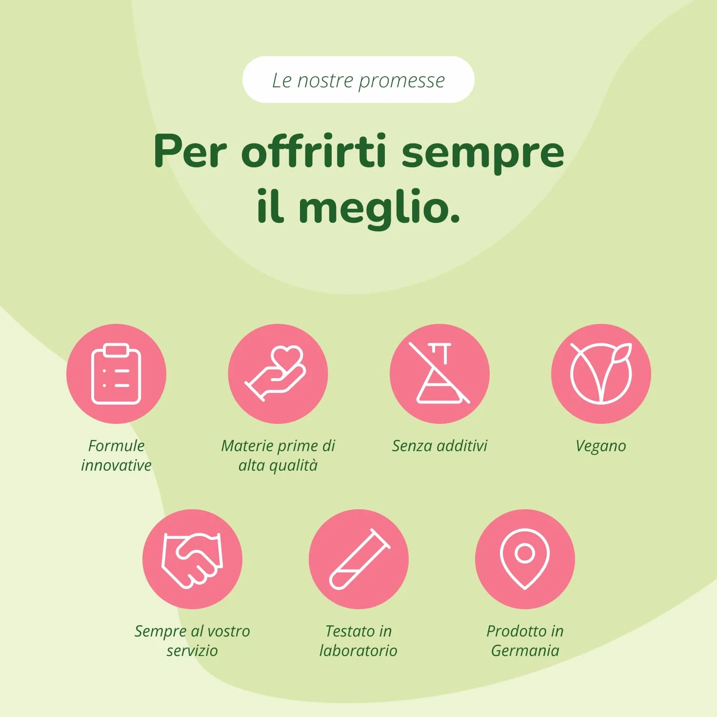 Vegavero® MSM Integratore 2000 mg 365 capsule Zolfo Organico puro 99,9% Articolazioni Unghie Capelli Vegan
