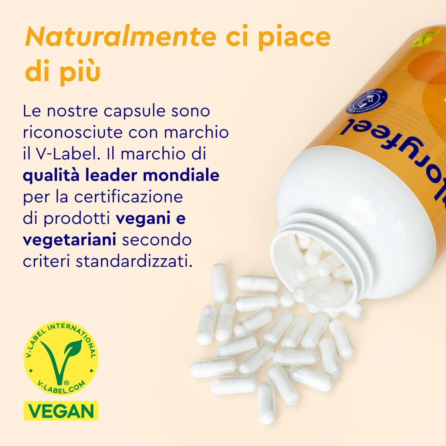 Integratore MSM Puro 99,9% Metilsulfonilmetano Zolfo Organico 1600mg 365 capsule vegan