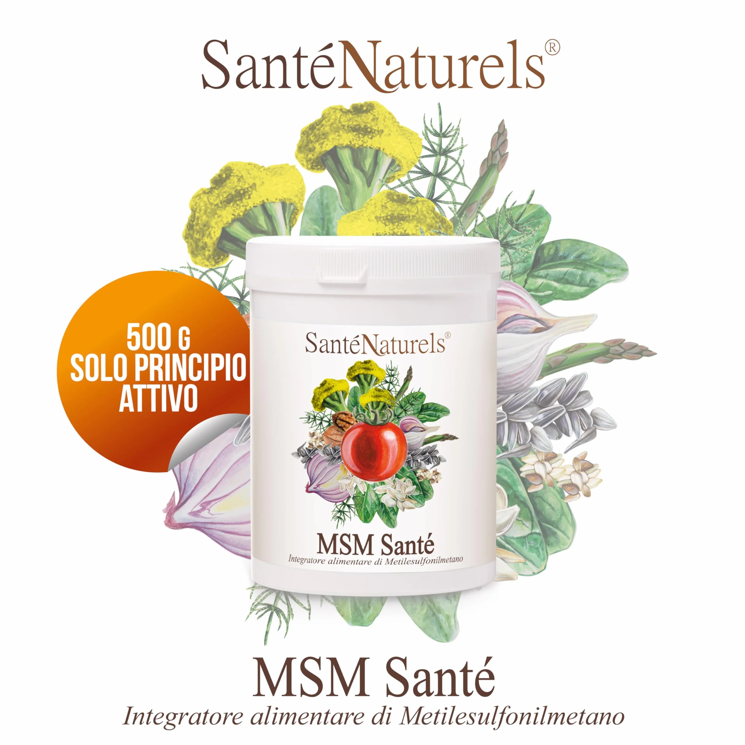 MSM Santè Metilsulfonilmetano Puro 99,9% 500 g Polvere Supporto Articolazioni Ossa Unghie Muscoli Capelli