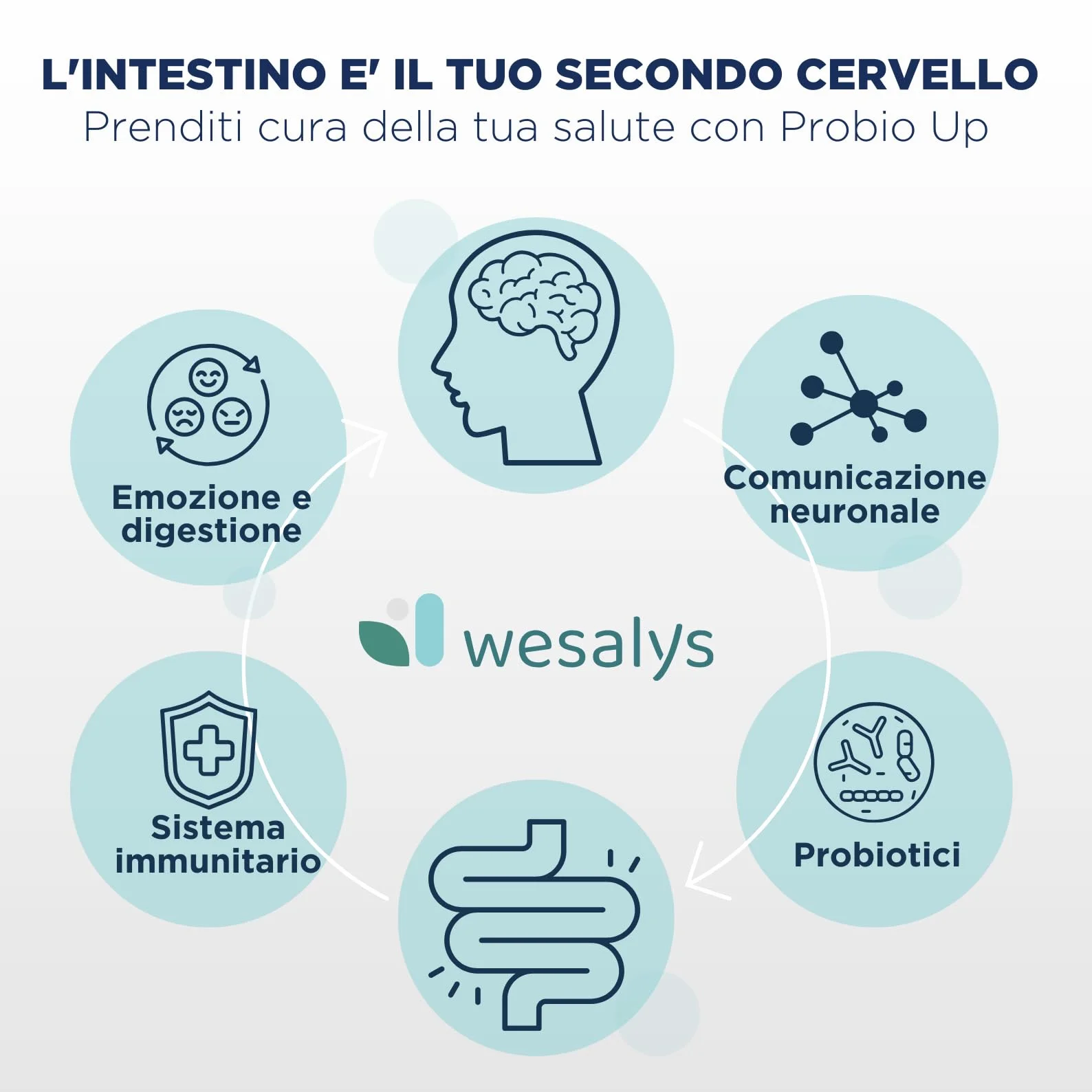 Probiotici 250 Capsule PROBIO UP 20 Ceppi Batterici Lactobacilli Bifidobatteri Inulina FOS 20 Miliardi