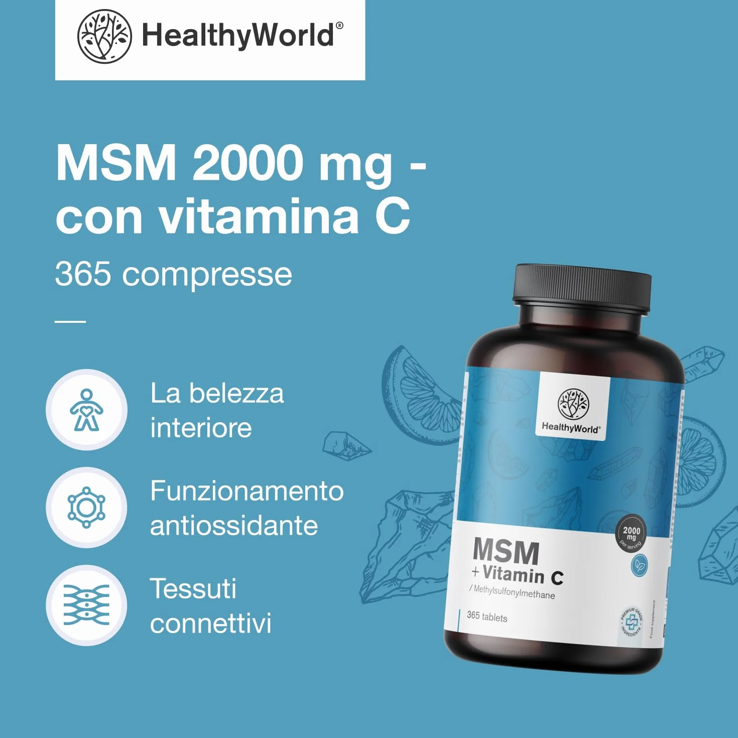 HealthyWorld MSM 2000 mg con Vitamina C 365 Compresse Alta Concentrazione Vegetariano