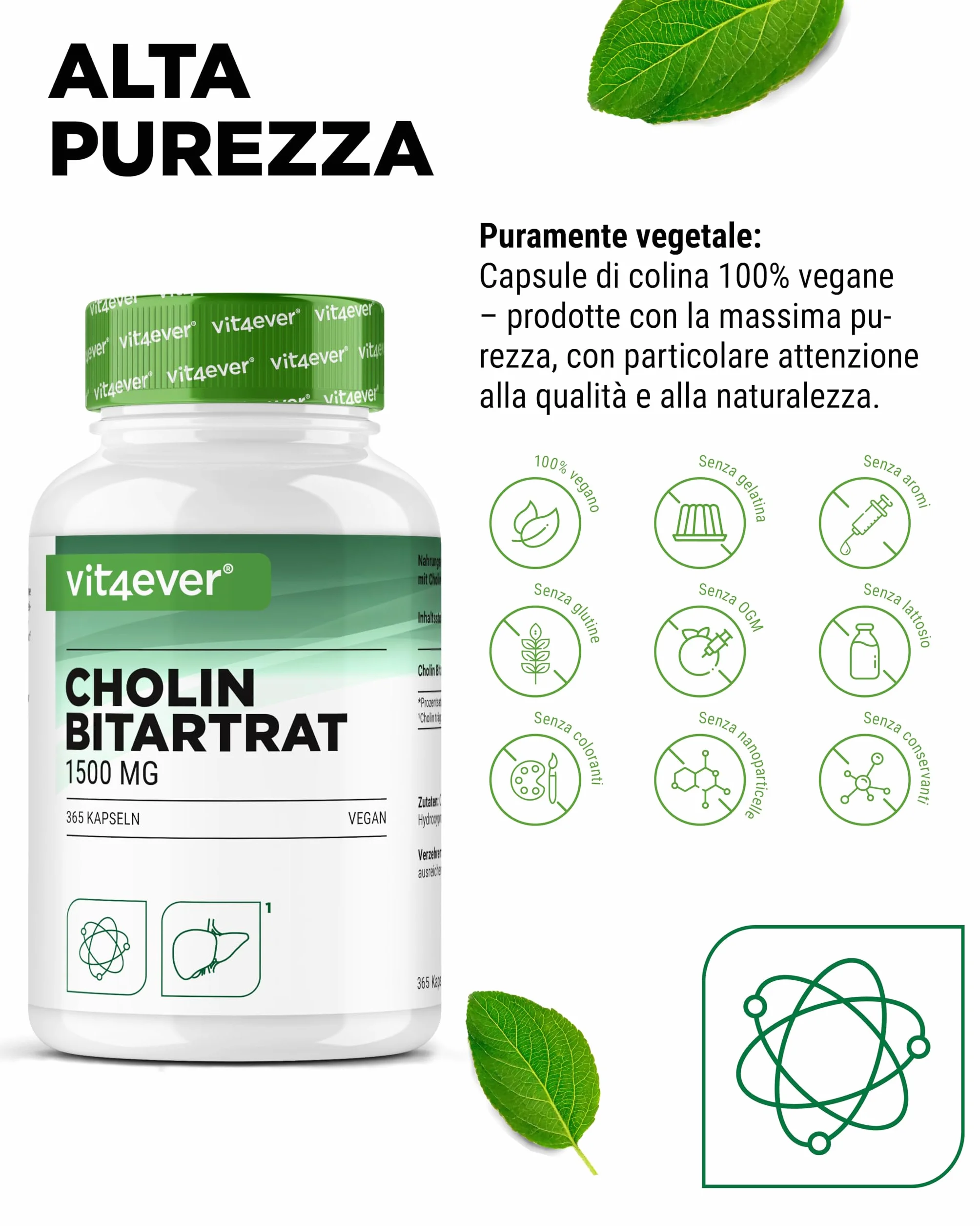 Capsule di colina 1500 mg bitartrato per dose giornaliera – 365 capsule vegane per fegato, omocisteina e metabolismo dei grassi