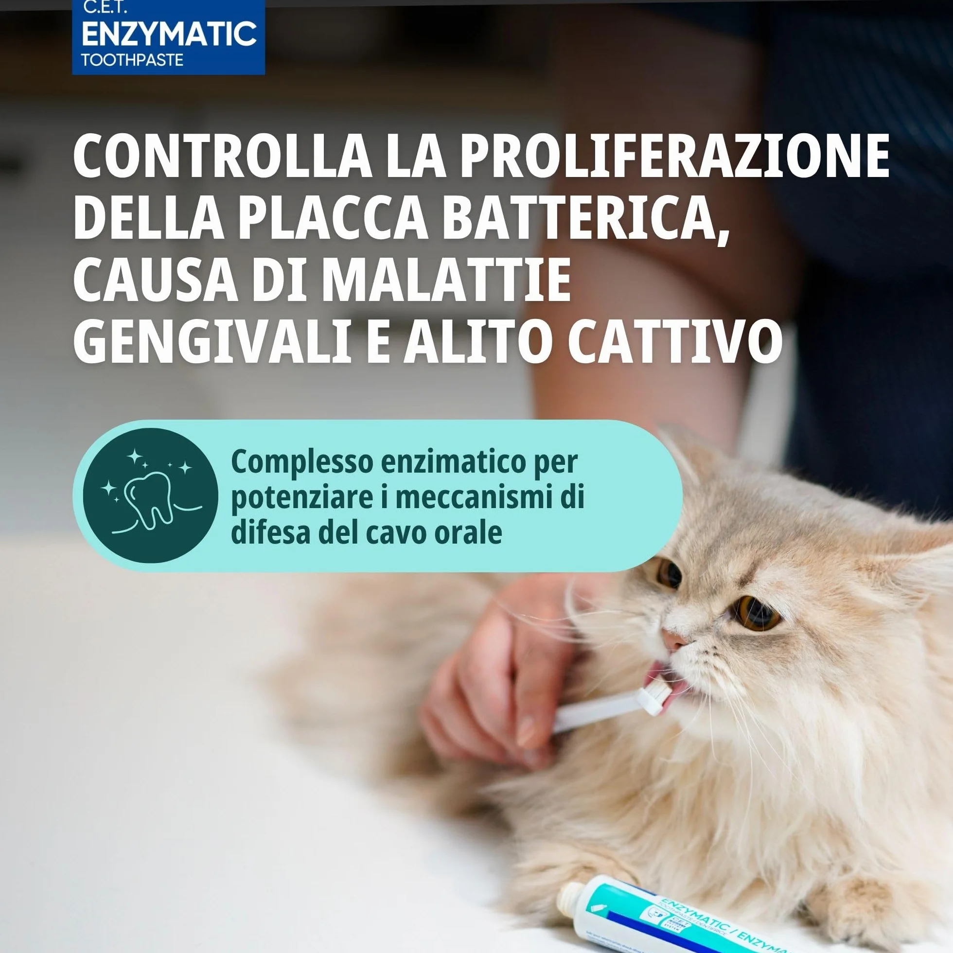 C.E.T. Dentifricio Enzimatico 70g Kit con Spazzolino