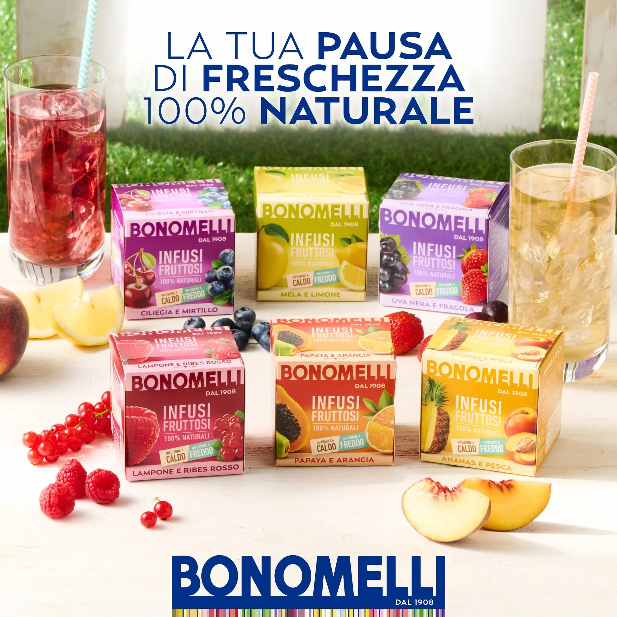 Bonomelli Infusi Fruttosi Uva Nera e Fragola, Confezione da 12 Filtri, 100% Naturali (24g)