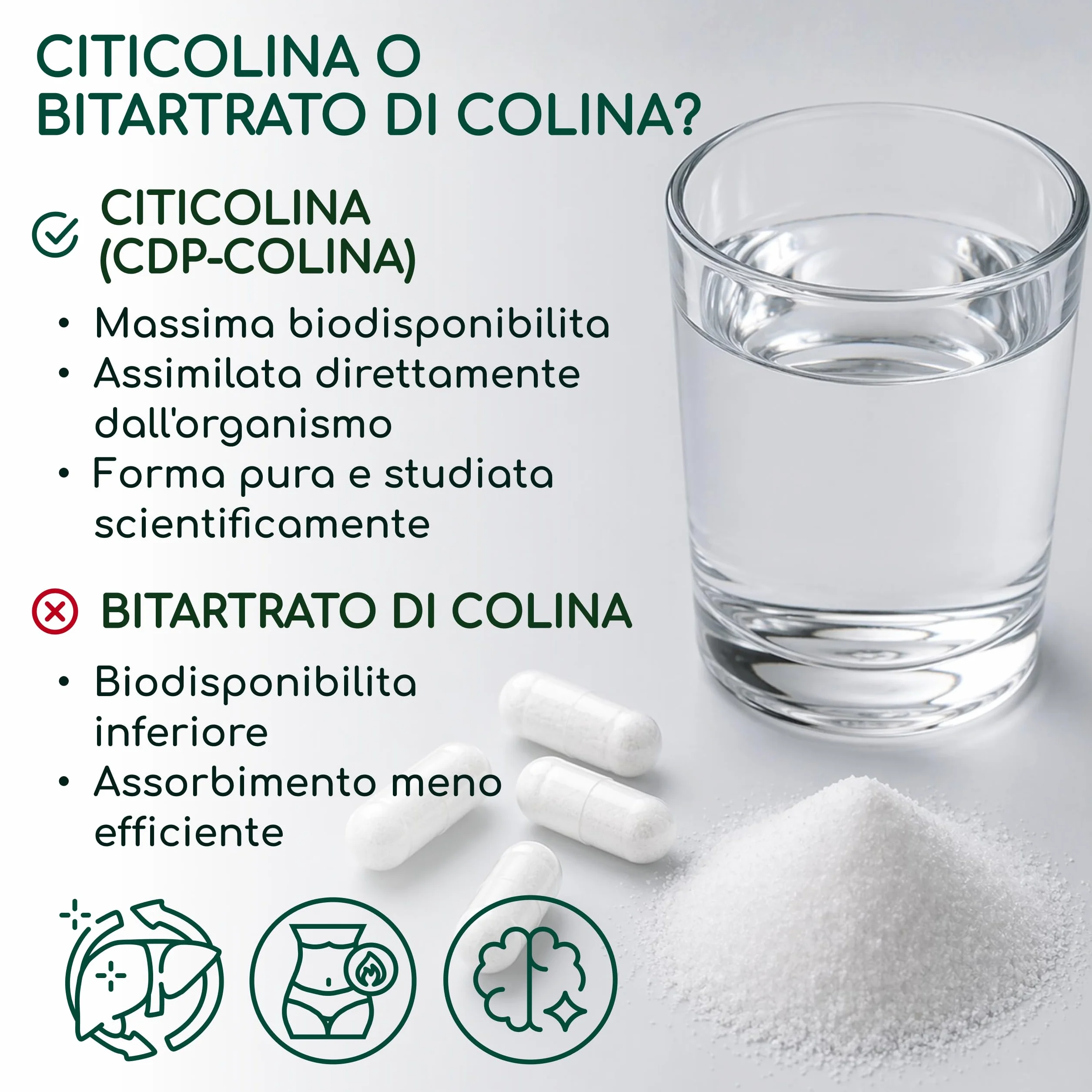 Citicolina 500 mg per Capsula 120 Capsule - CDP-Colina Pura Memoria Concentrazione Funzione Cellulare Vegano