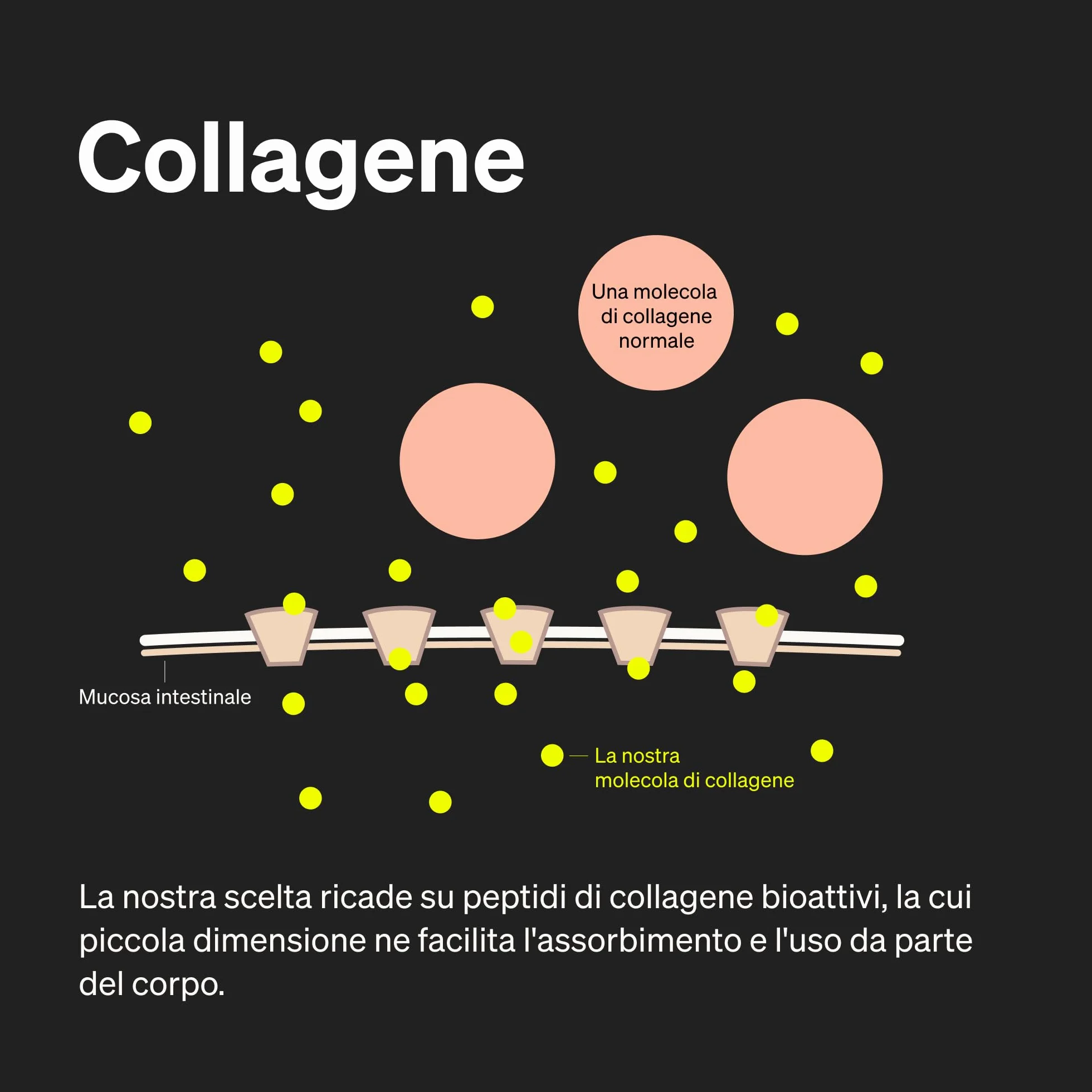 Collagene e Acido Ialuronico Integratore 180 Capsule 1000mg Collagene Idrolizzato 200mg Acido Ialuronico Vitamina C Biotina Pelle Capelli Unghie