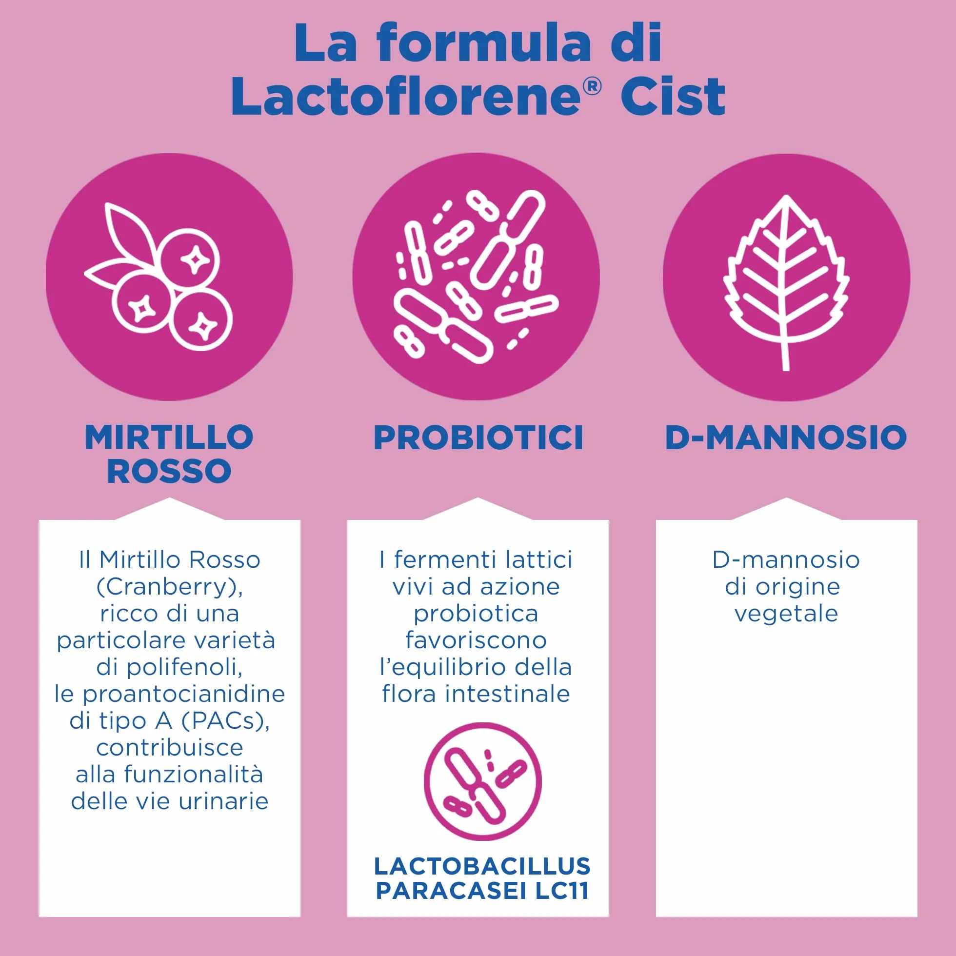 Montefarmaco Lactoflorene CIST Integratore Alimentare 20 Bustine