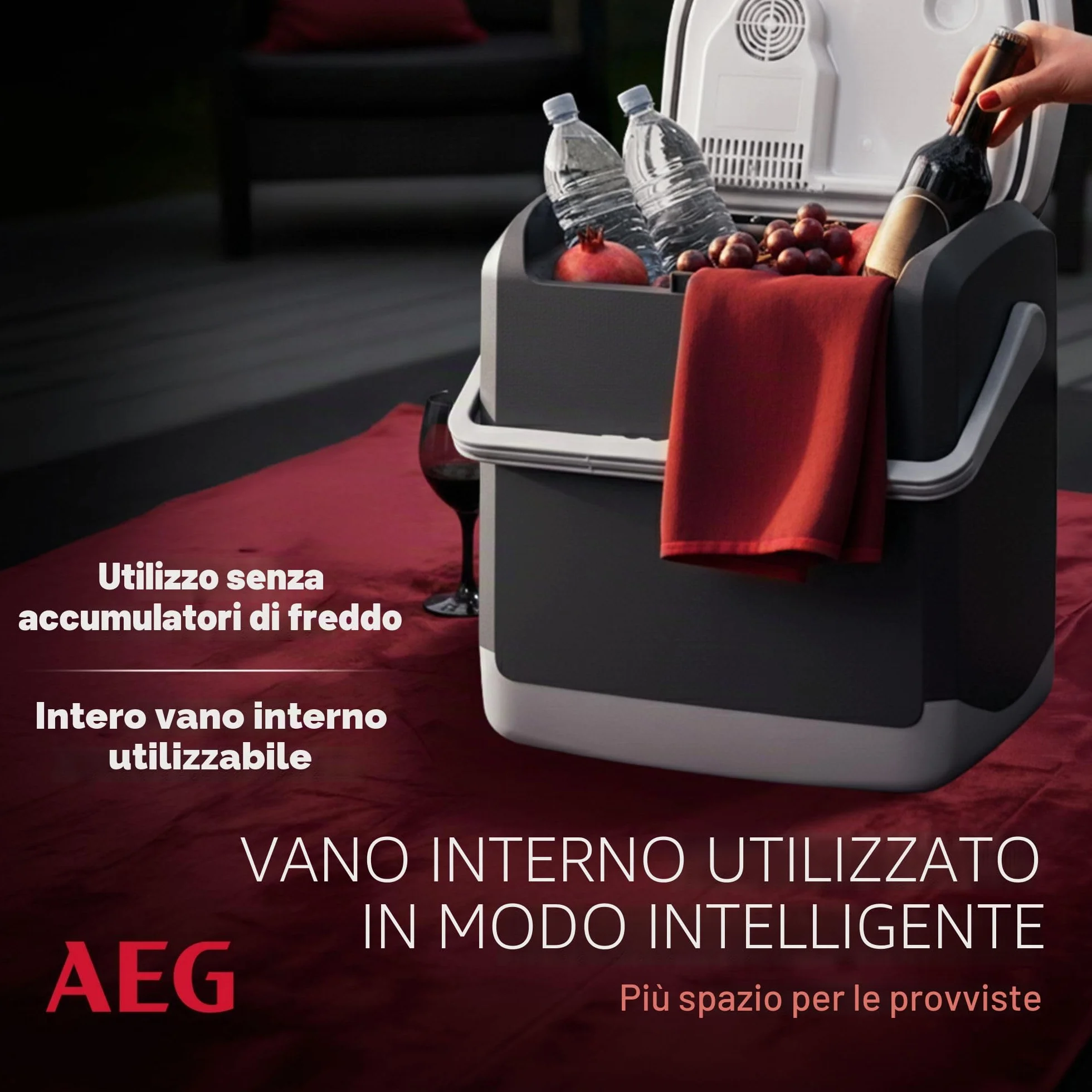 AEG Automotive Thermoelectric Cool Box KK 20 Litri, 12/230 Volt per Auto e Presa, Grigio