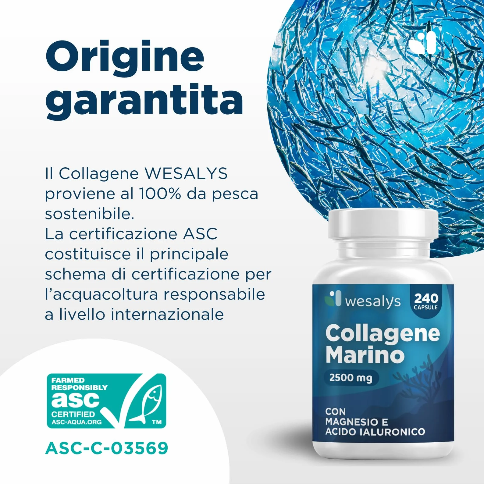 Collagene Marino con Acido Ialuronico 240 Capsule 2500mg Integratore Biotina Vitamina C Coenzima Q10 Pelle Capelli Articolazioni Wesalys