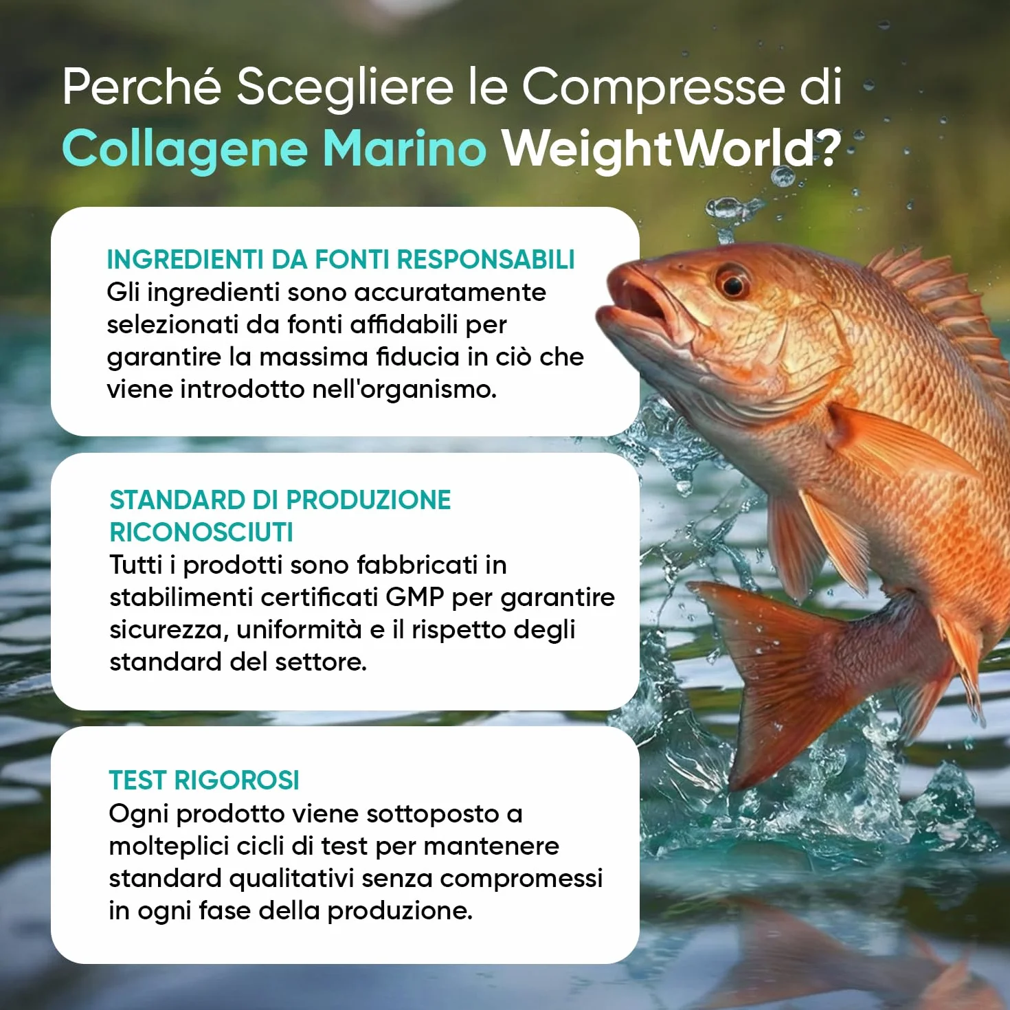 Collagene Marino 1800mg con Vitamina C Peptidi Idrolizzato Tipo I e III 180 Compresse
