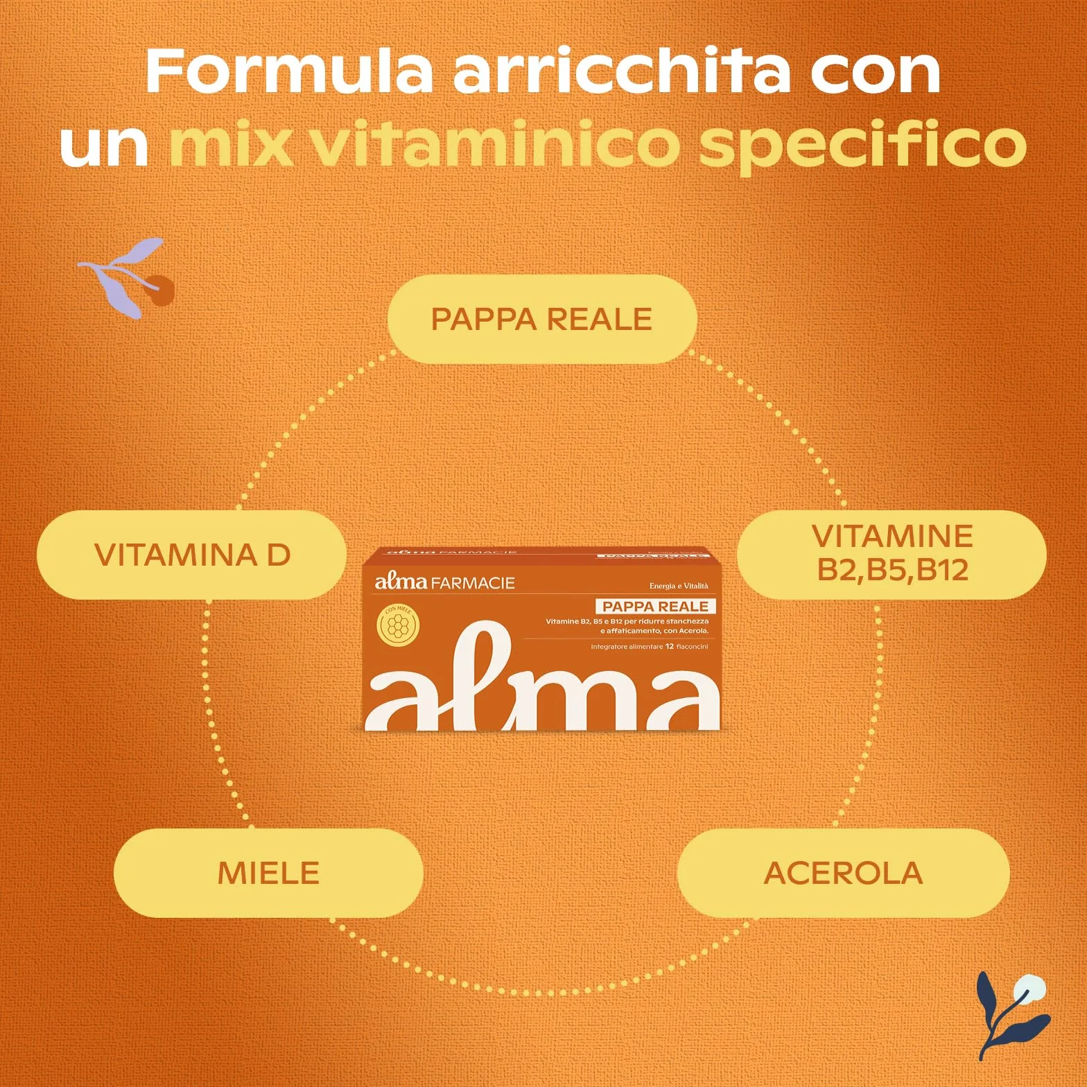 Pappa Reale Alma Farmacie Integratore Ricostituente con Vitamine B2 B5 B12 D e Acerola 12 Flaconcini