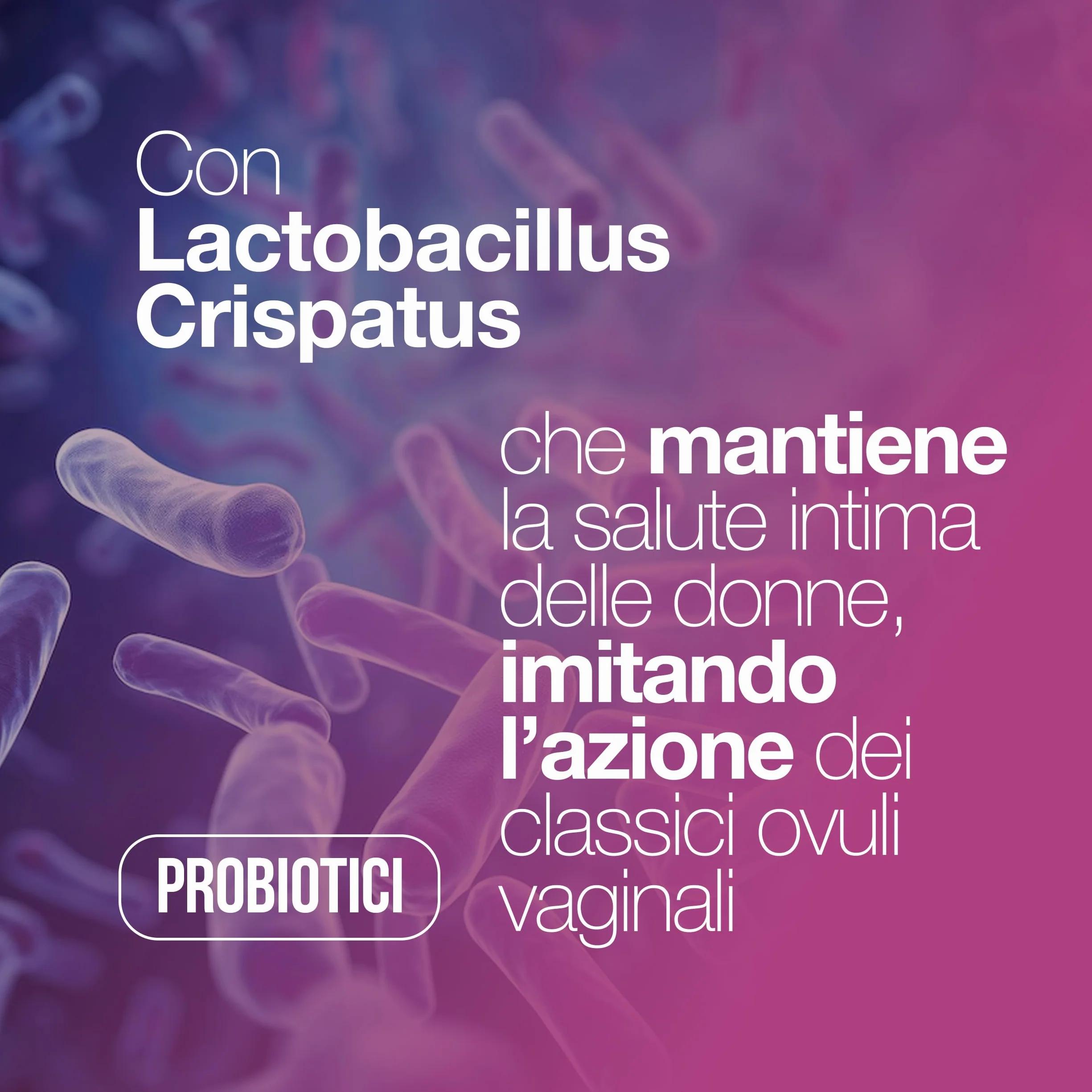 Probiotici Donna Flora Batterica Vaginale Candida Alto Dosaggio Lactobacillus Reuteri Rhamnosus gg Crispatus Saccharomyces Boulardii 30 Capsule