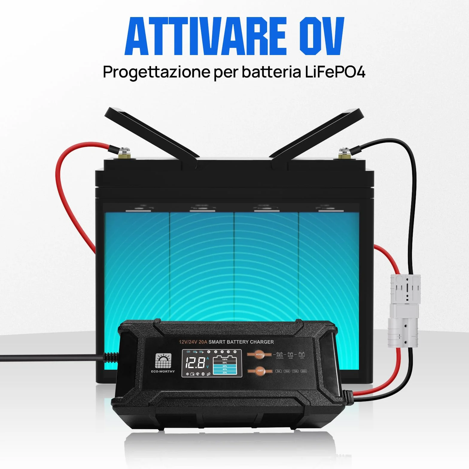 ECO-WORTHY 12V 24V 20A Caricabatterie LiFePO4 Rilevamento Automatico Piombo-Acido