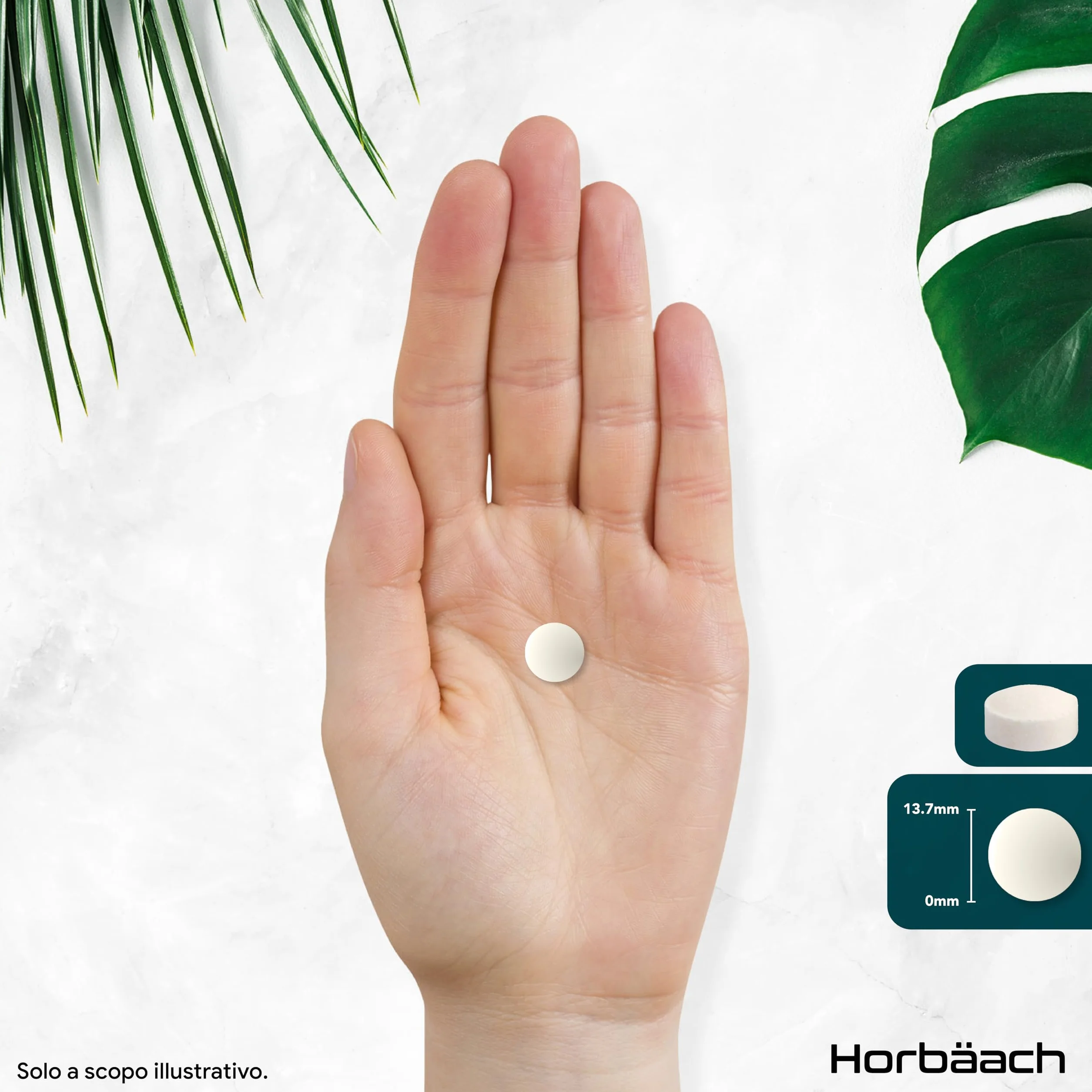 Horbaach Colina Bitartrato 1305mg 120 Compresse Integratore