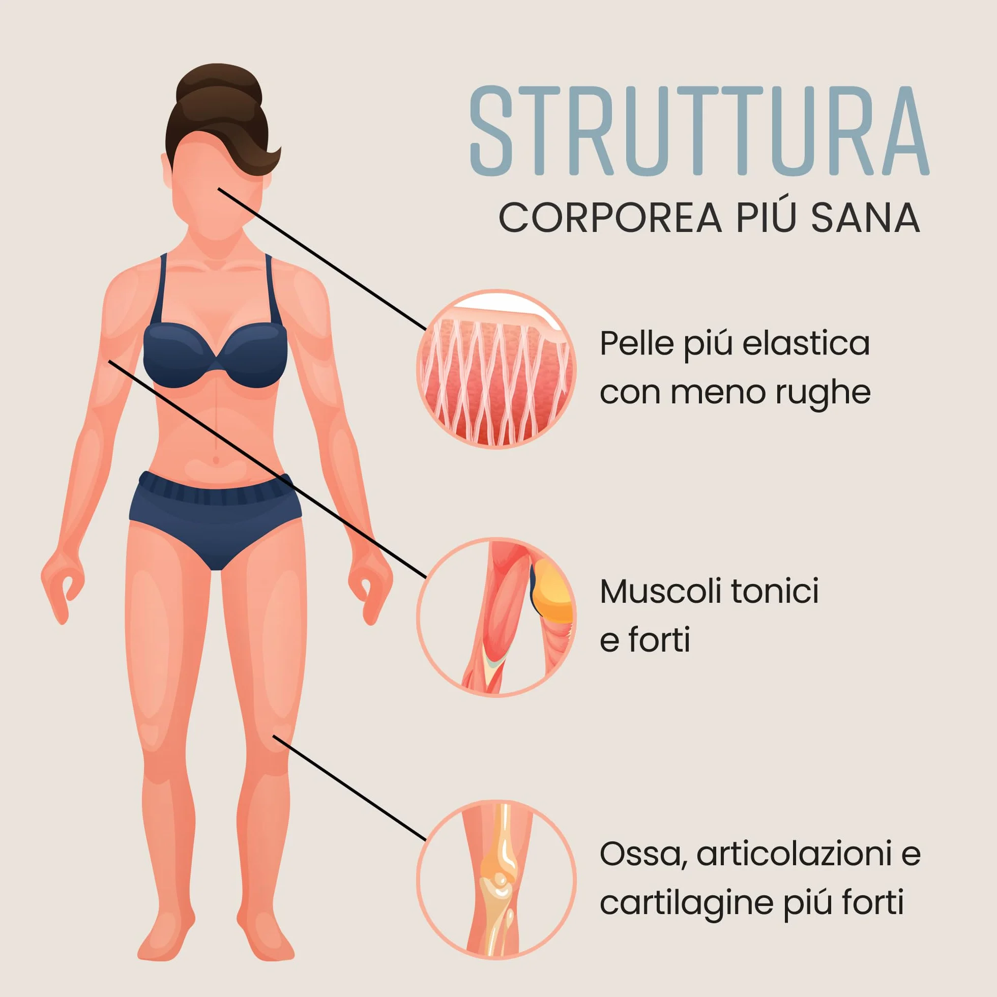 VitaBright Collagen in Polvere 500g Peptidi di Collagene Idrolizzato Bovino Tipo 1 e 3 Grass Fed Puro