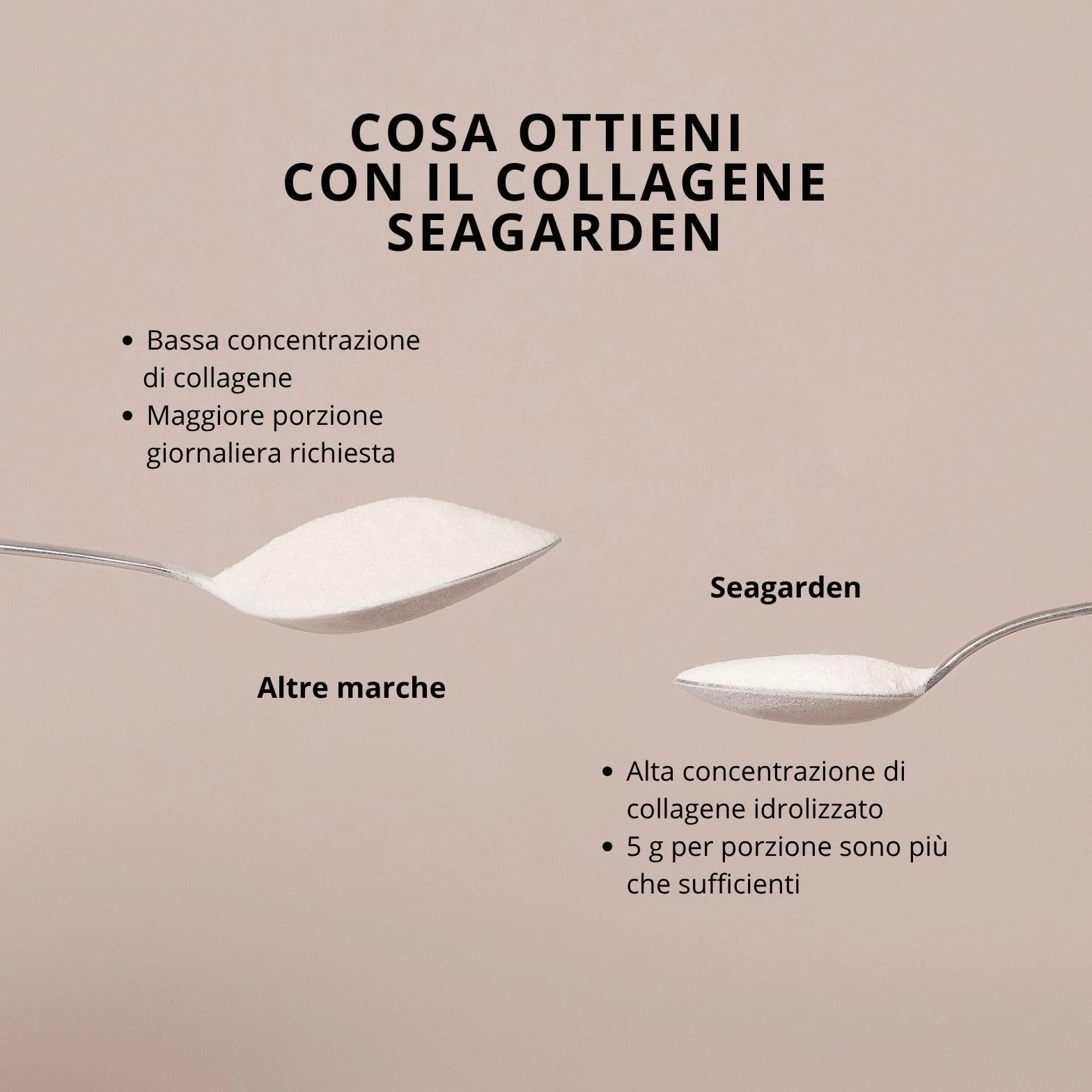 Seagarden Collagene Marino in Polvere 5000mg Integratore Capelli Pelle Ossa Articolazioni Non Aromatizzato 300g 60 porzioni