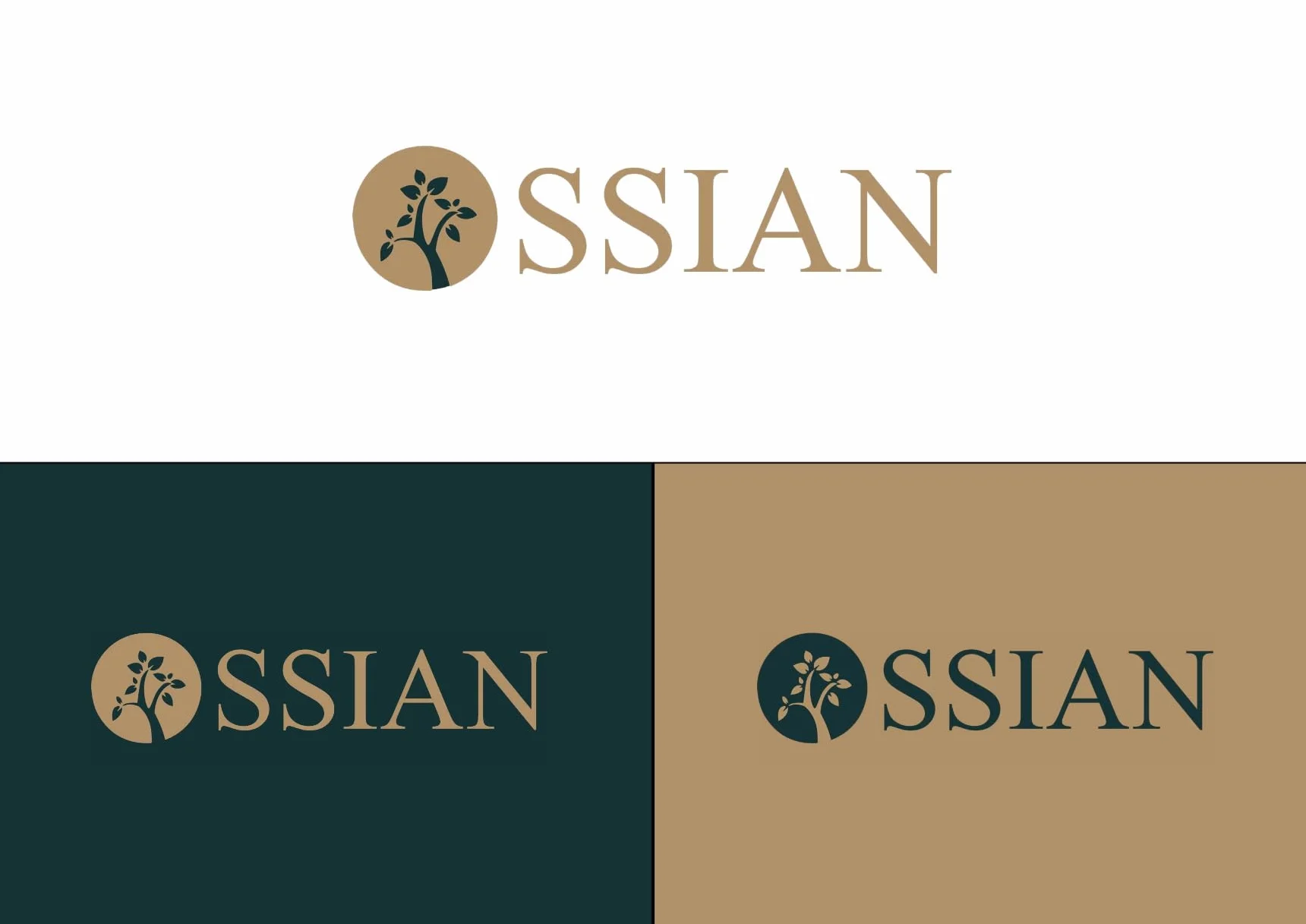 Ossian Soluzione Antimuffa 5 lt – Rimuovi Muffa, Alghe, Muschi, Licheni – Per Interni ed Esterni