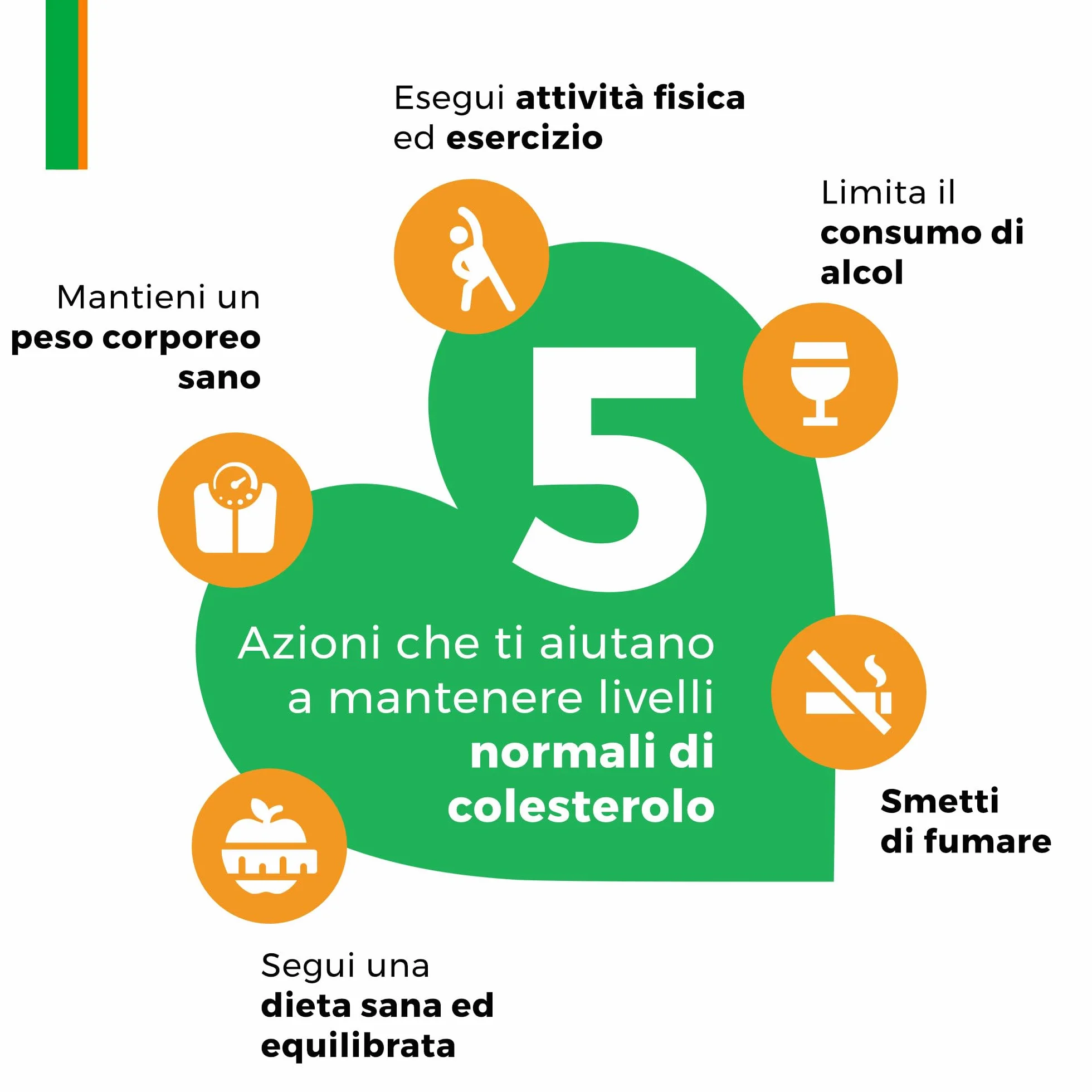 Armolipid Plus 30 Compresse Integratore Alimentare Berberis Aristata Riso Rosso Fermentato Acido Folico Policosanoli Coenzima Q10 Astaxantina
