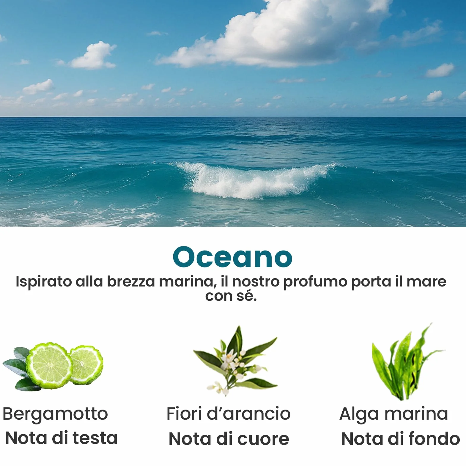 Ricarica per diffusore auto BJ 047 160 ml