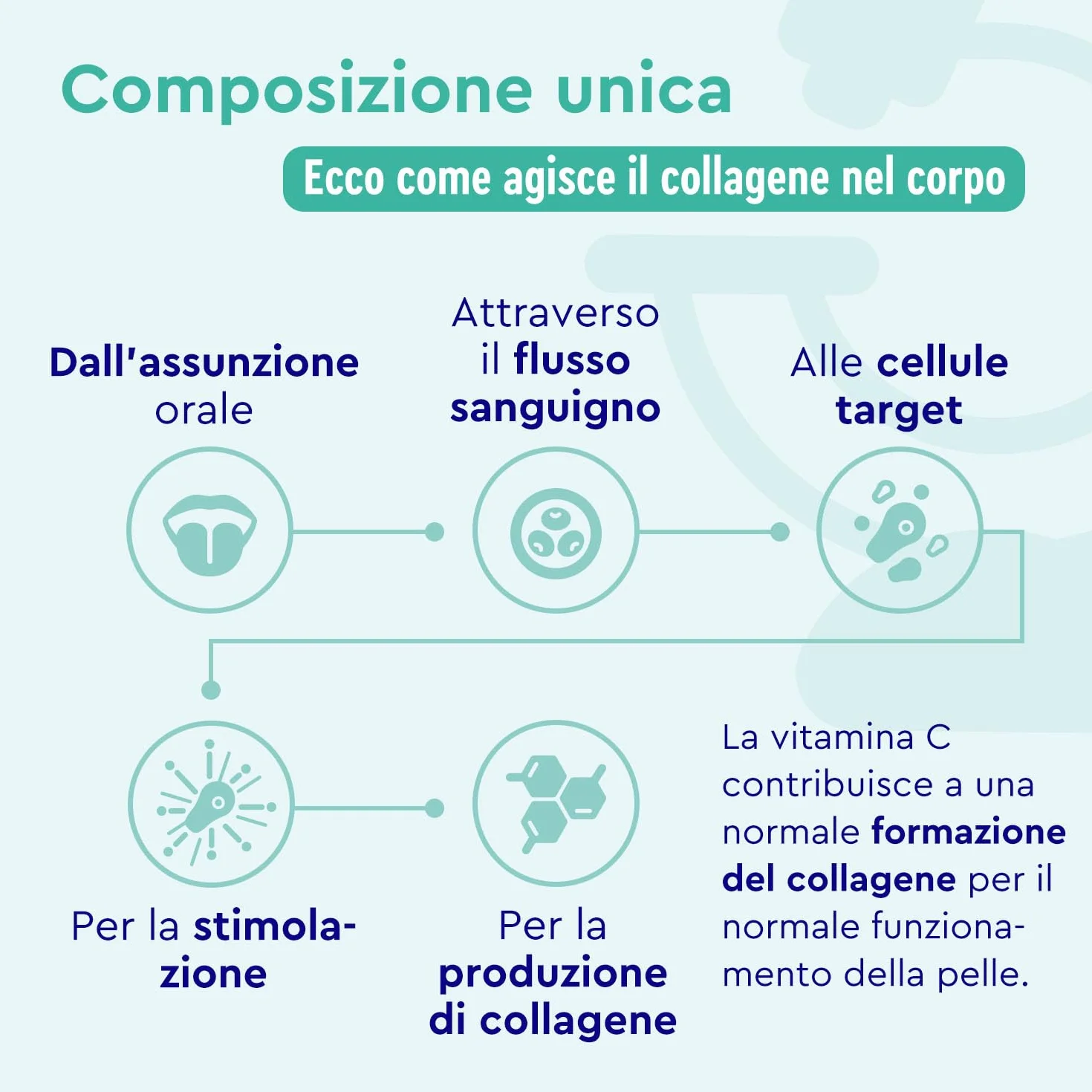 Collagene in Polvere GELITA AG 500 g 12500 mg Peptidi di Collagene con Vitamina C Antiossidante