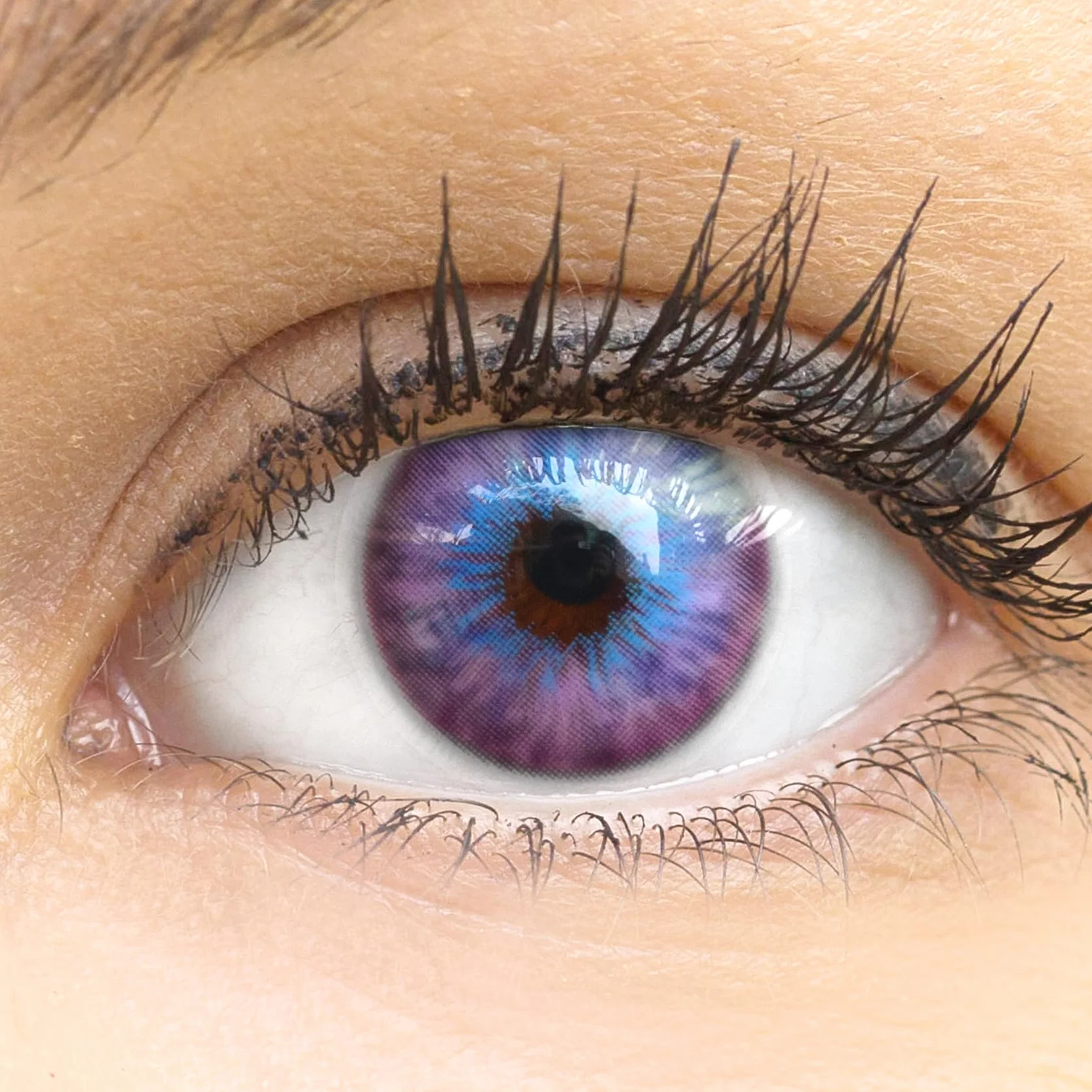 GLAMLENS Lenti a Contatto Colorate Viola Madrid Violet - Silicone Idrogel - 2 Pezzi - DIA 14,00 - 0.00 Diottrie
