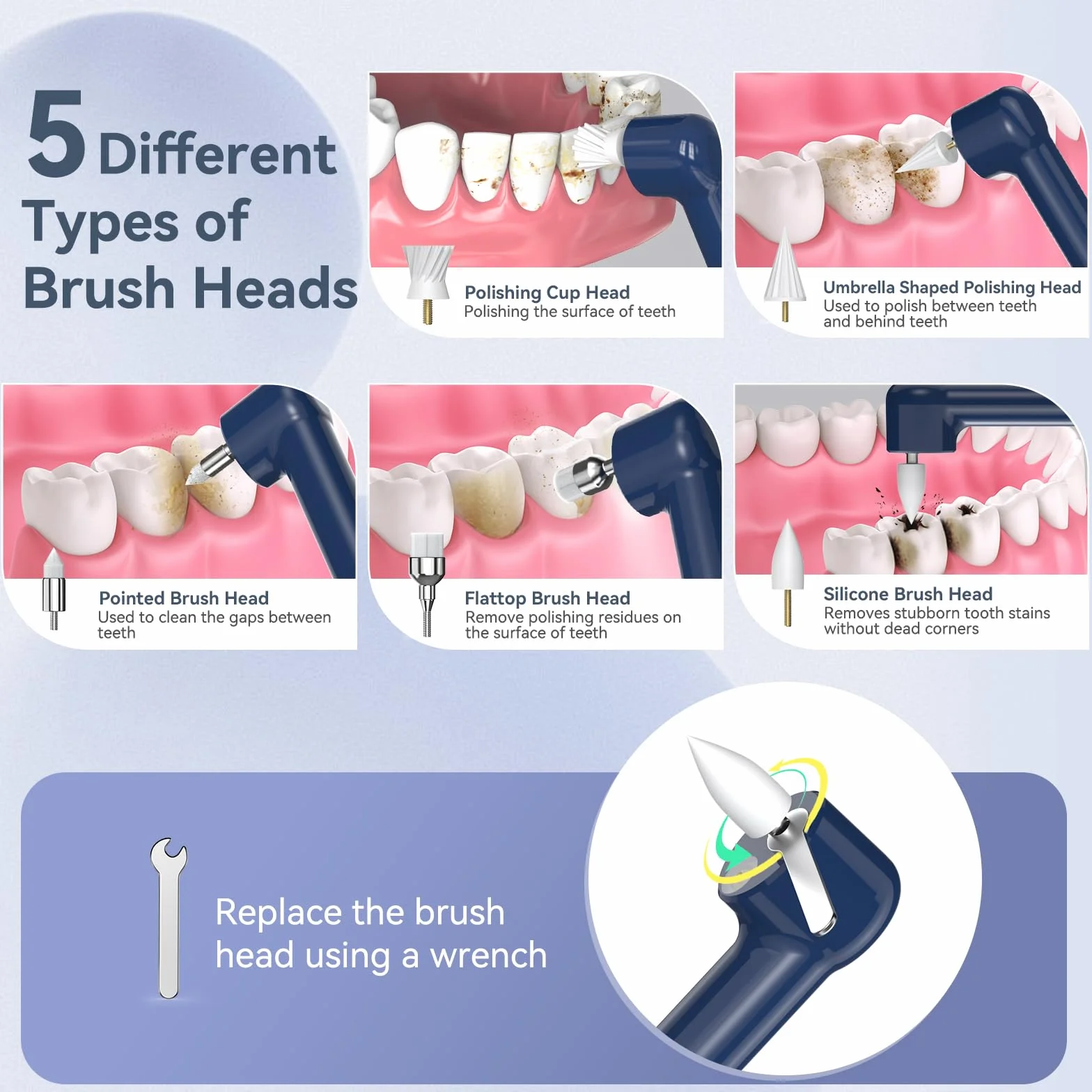 Beedove Accessorio per Lucidatura Dentale 6 Testine di Ricambio Multifunzionali