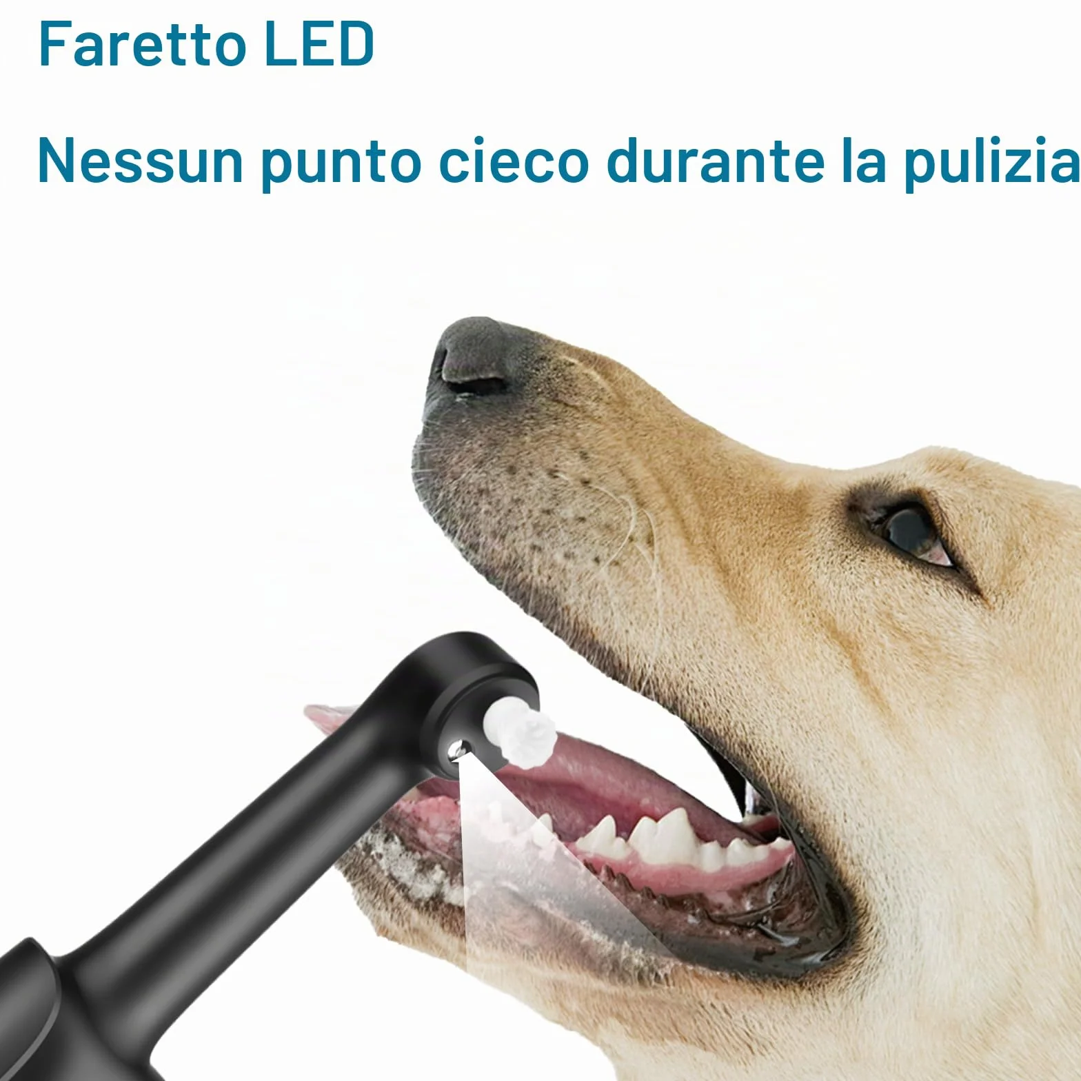 Set di Sbiancamento Denti Rimuovi Tartaro Kit Pulizia Lucidatrice Elettrica per Ridurre Placca