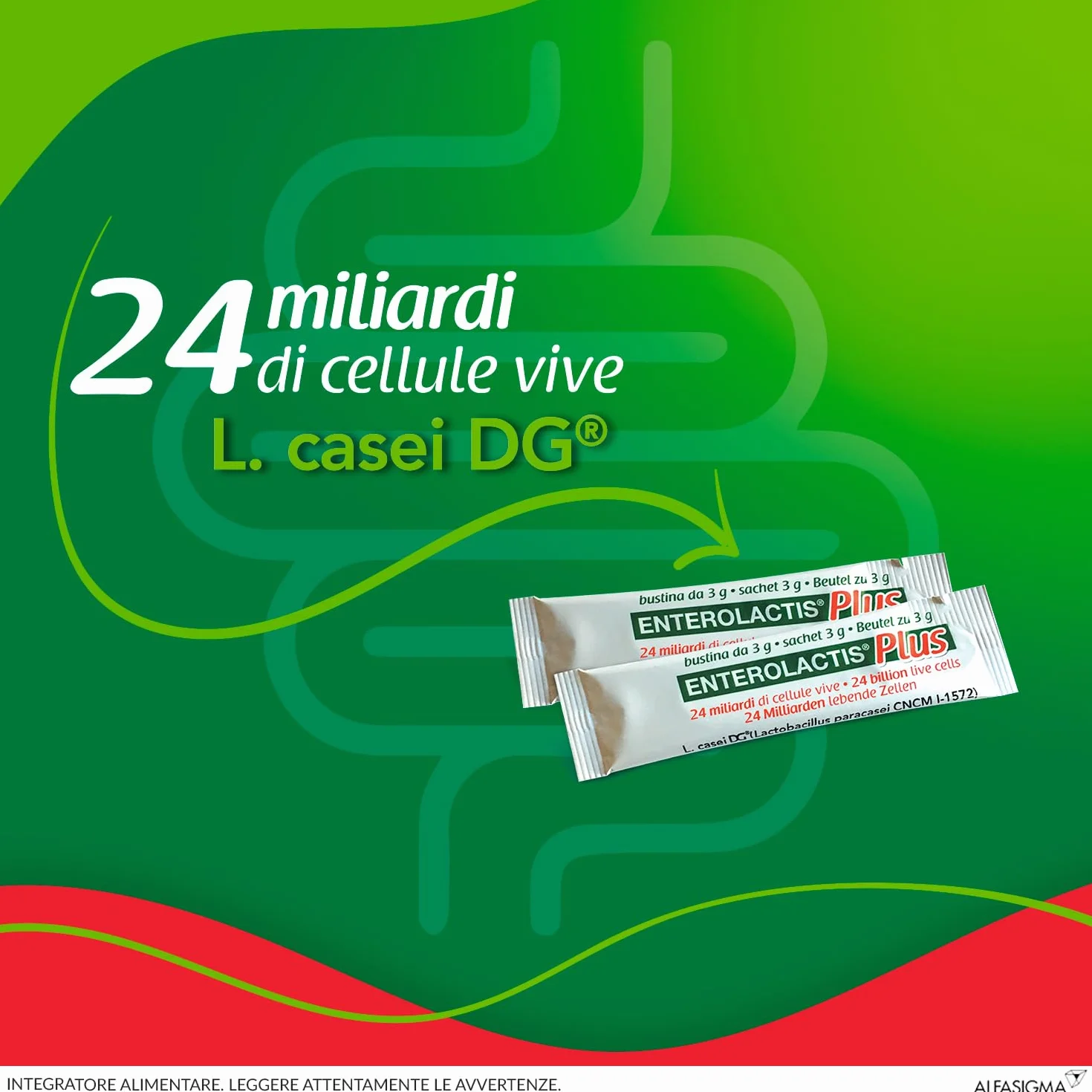 Enterolactis Plus 14 bustine: probiotici fermenti lattici per flora intestinale
