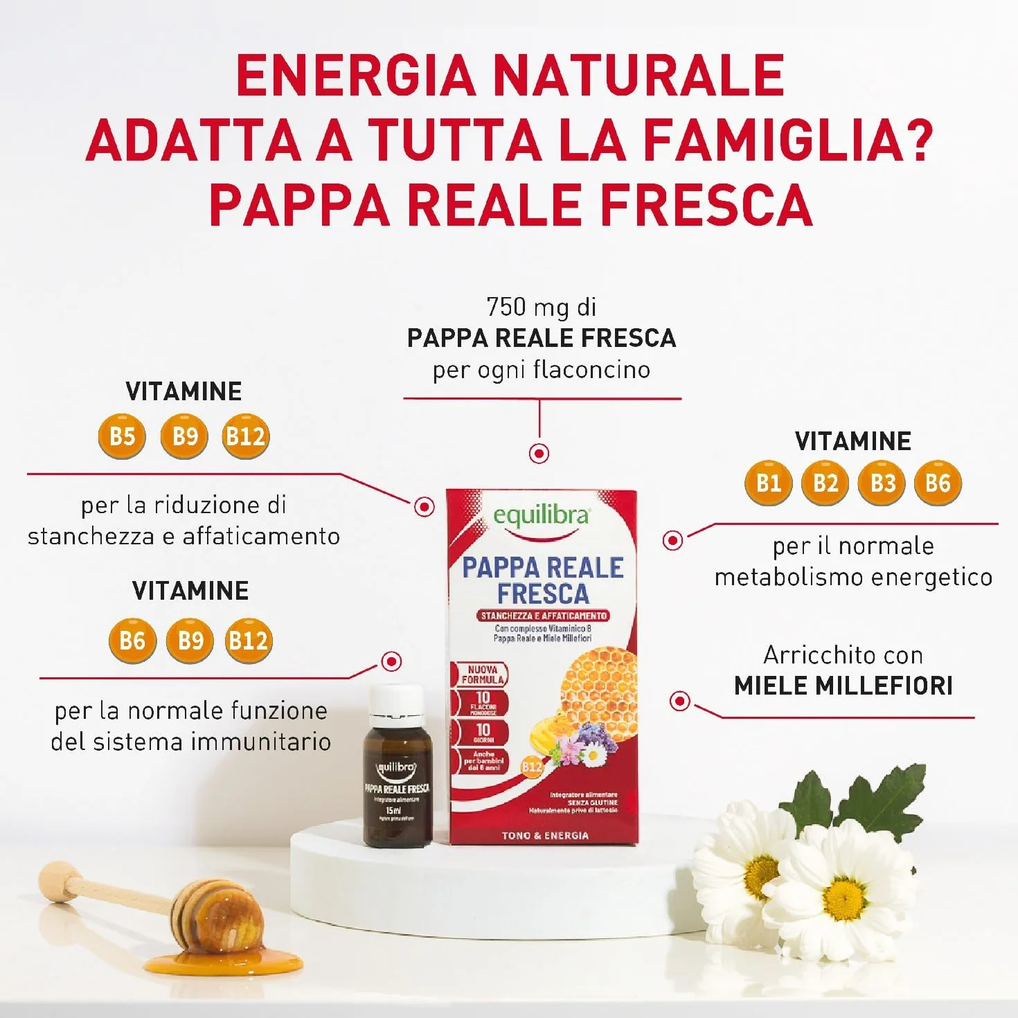 Equilibra Pappa Reale Fresca Integratore con Vitamine B e Miele Millefiori 10 Flaconcini