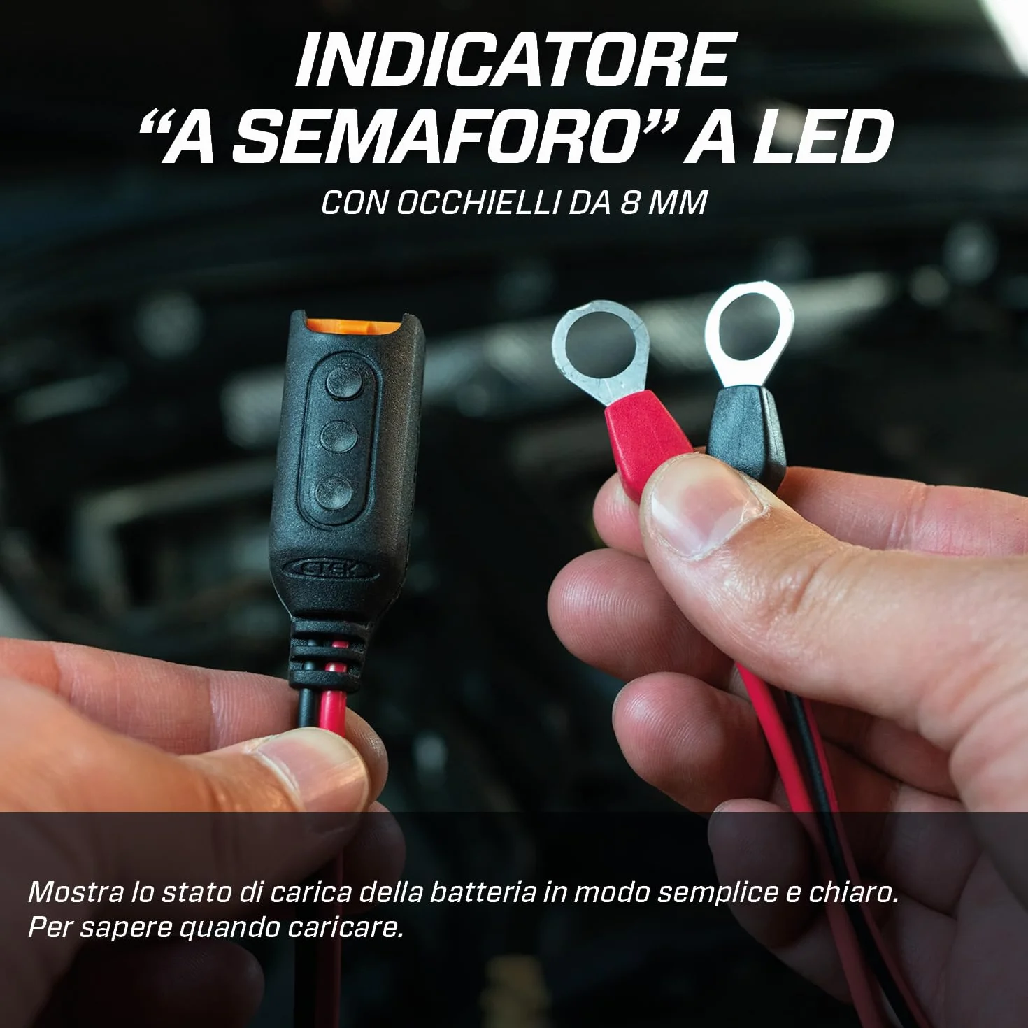 CTEK Indicatore LED Stato Carica Batteria 12V 8mm M8