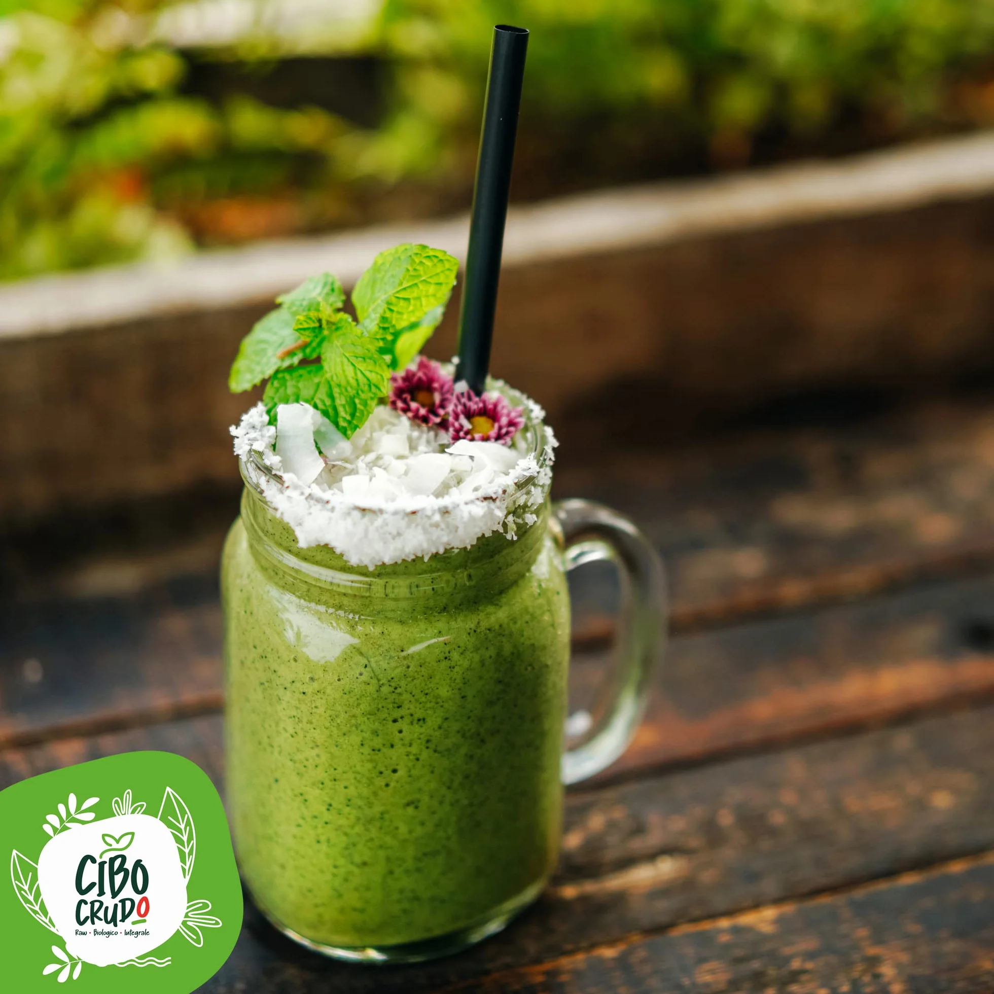Cibocrudo Moringa In Polvere Biologica Cruda 200 gr – Moringa Oleifera Ricca Di Vitamine E Sali Minerali