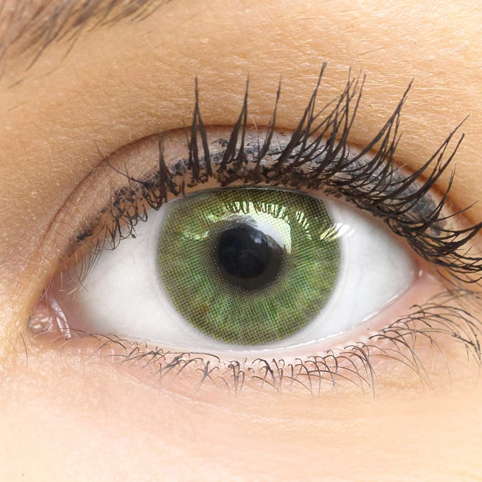 GLAMLENS Lenti a Contatto Colorate Verdi Neapel Green Mensili - Silicone Idrogel - 2 Pezzi - DIA 14.20 - Senza Correzione